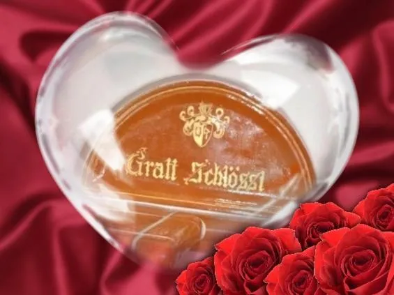 Apartment Grattschlössl