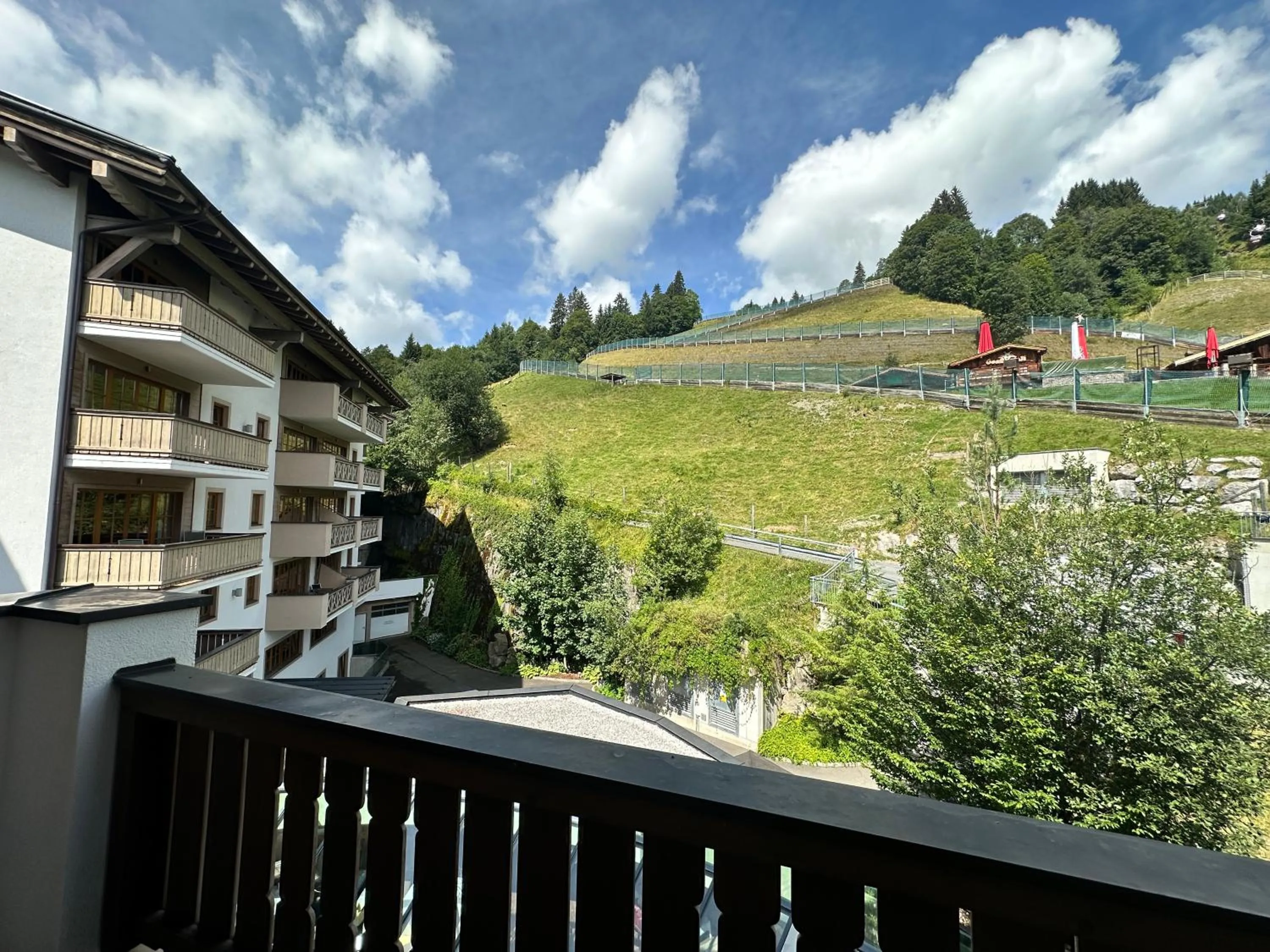 View (from property/room) in Hotel Alpine Palace