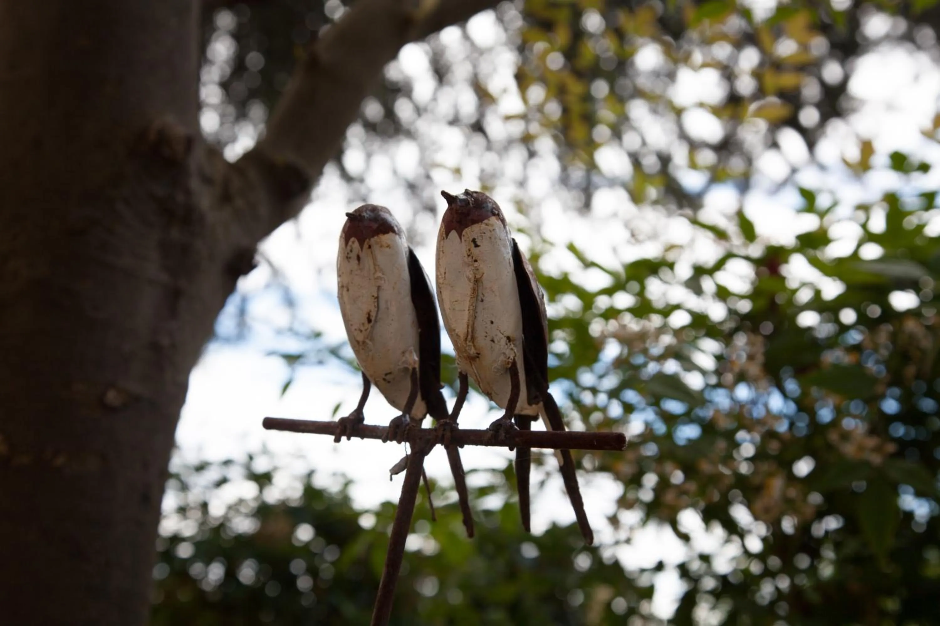 Property building in La Pulcia B&B