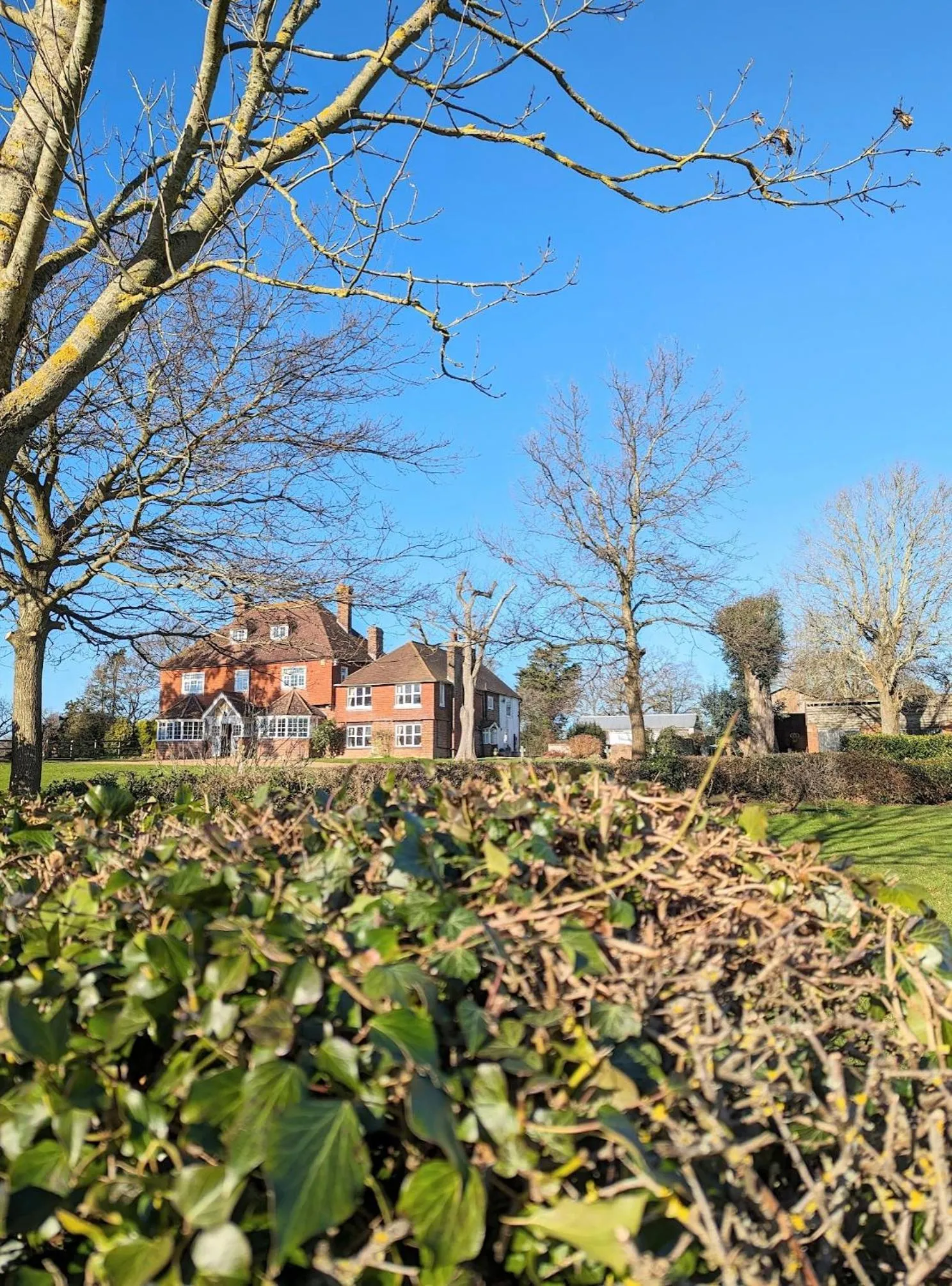 Garden in Humphries Cross Apartments