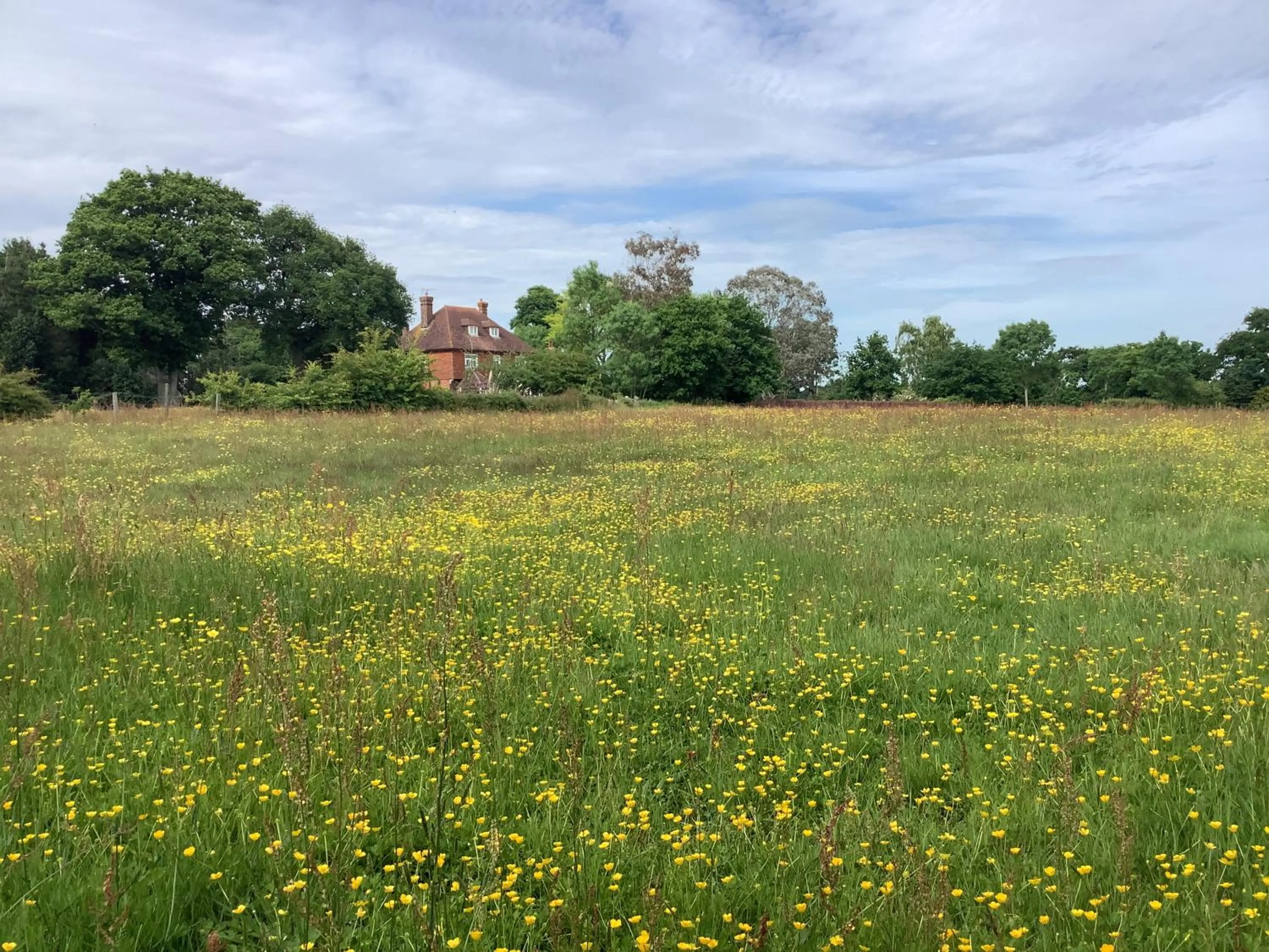 Garden in Humphries Cross Apartments