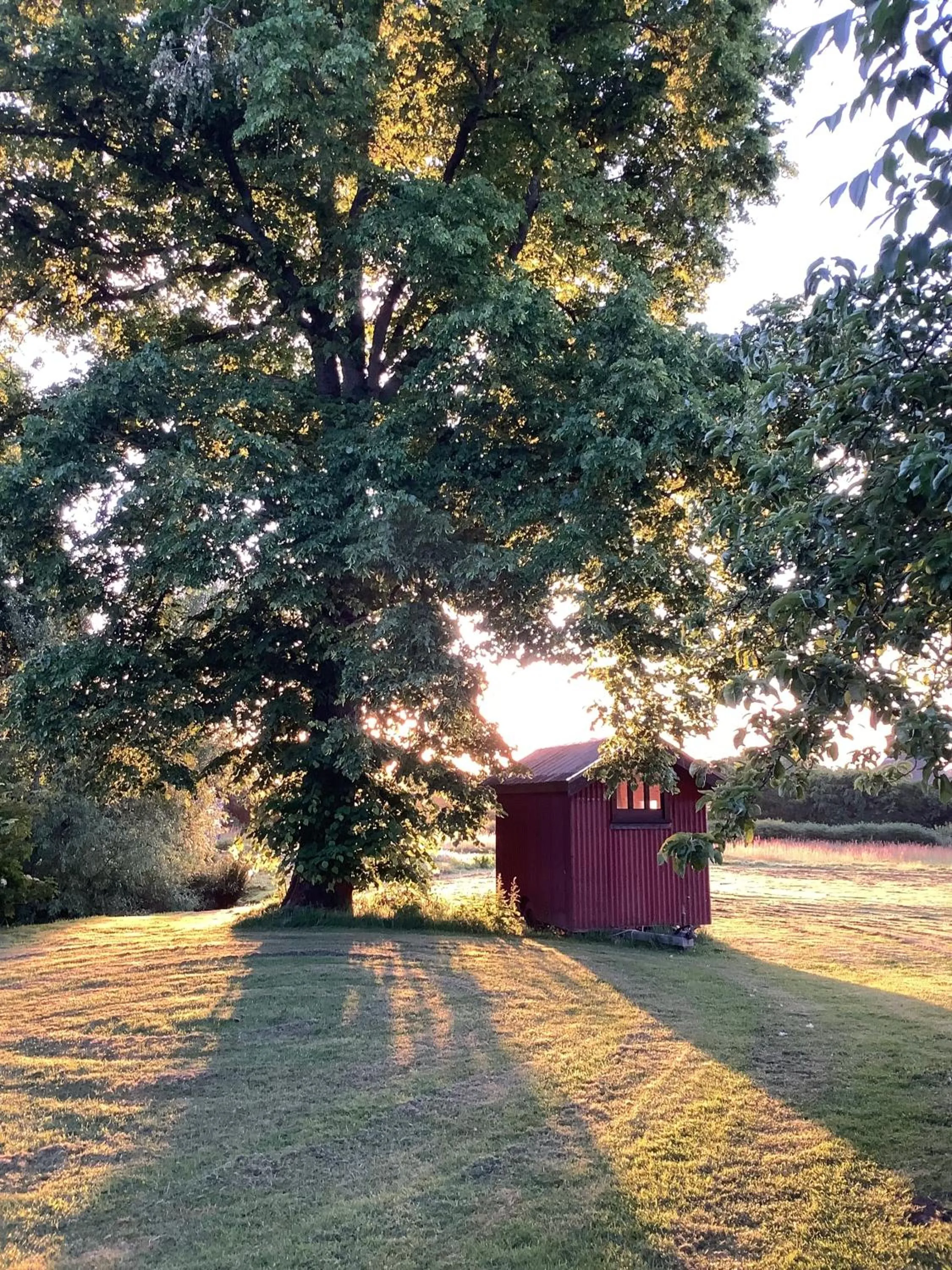 Garden in Humphries Cross Apartments