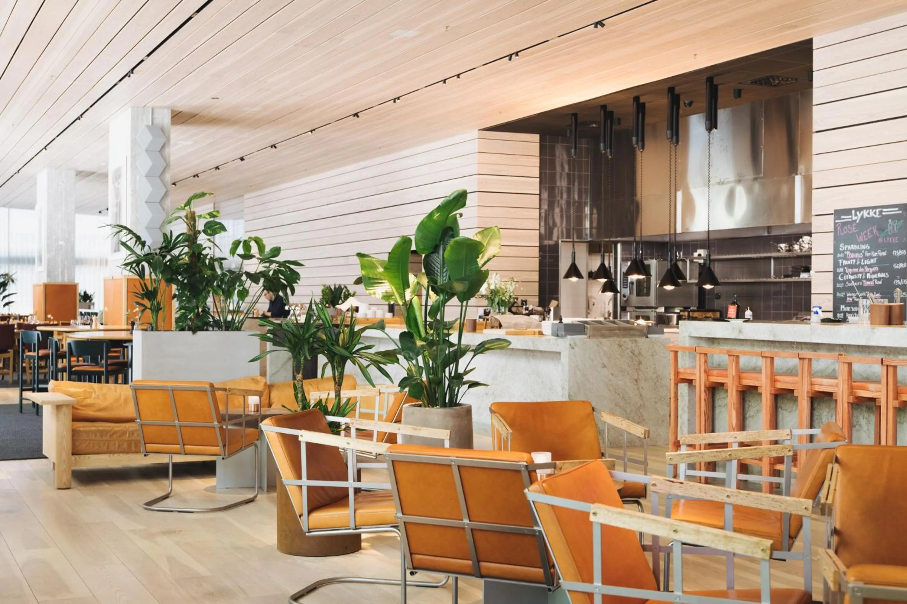 Restaurant/places to eat in Nordic Light Hotel