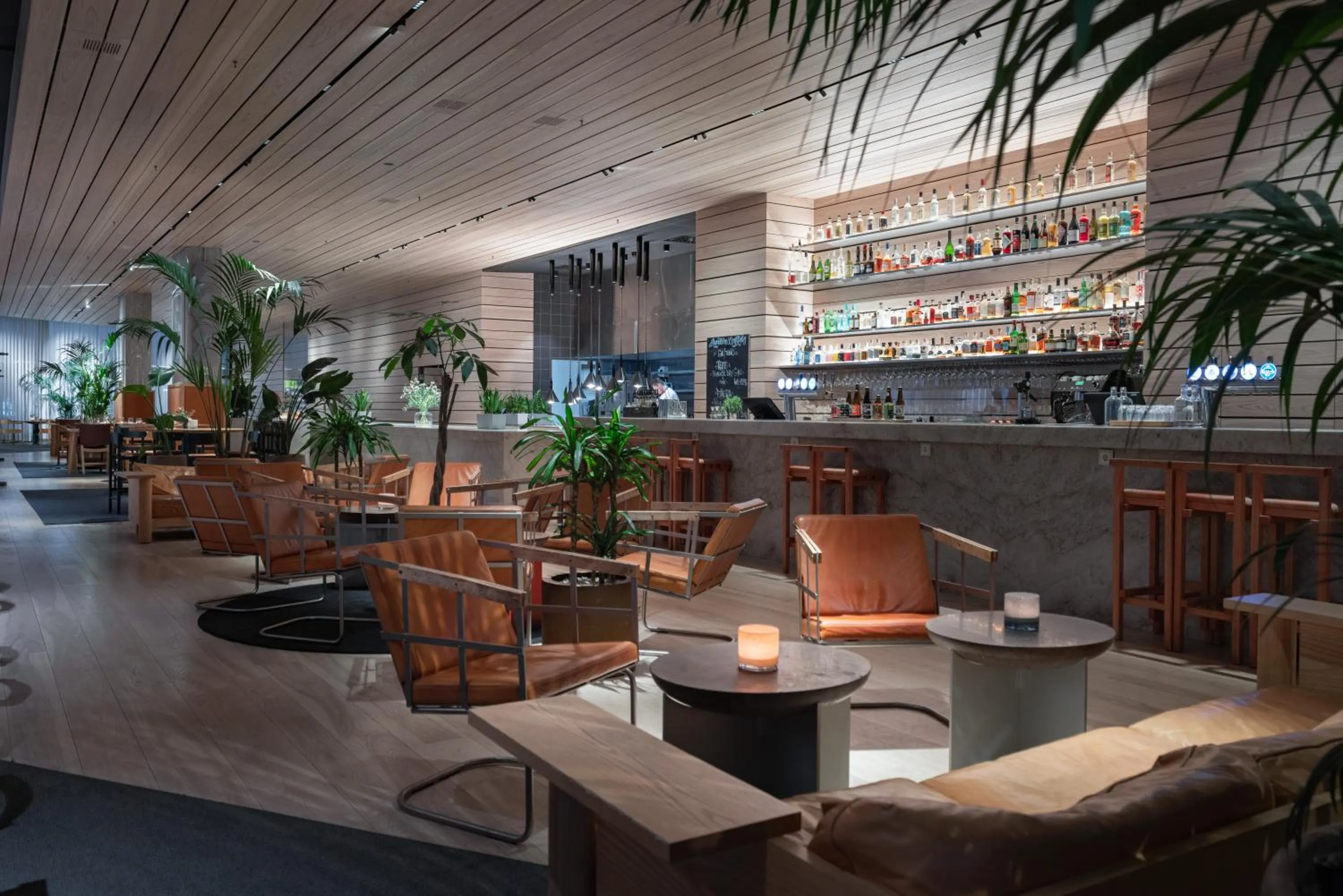 Lounge or bar in Nordic Light Hotel