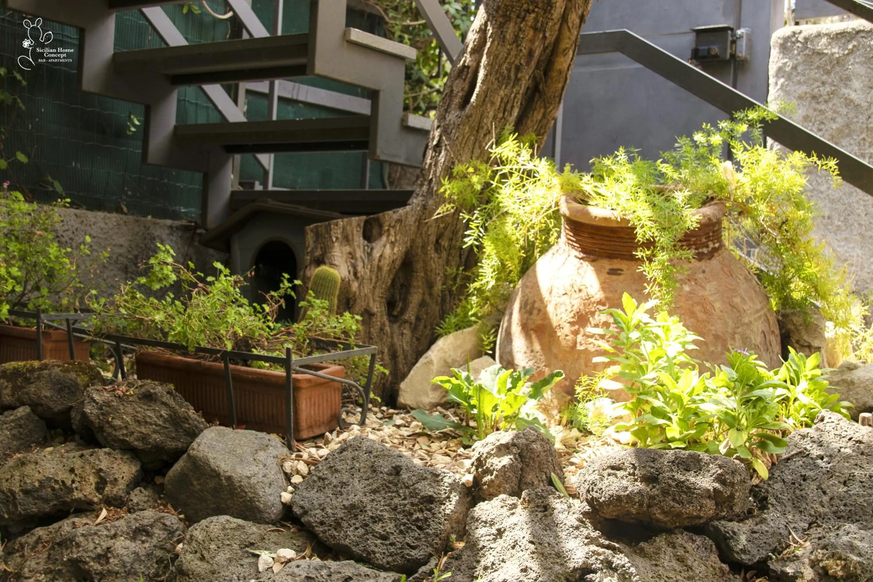 Garden in Sicilian Home
