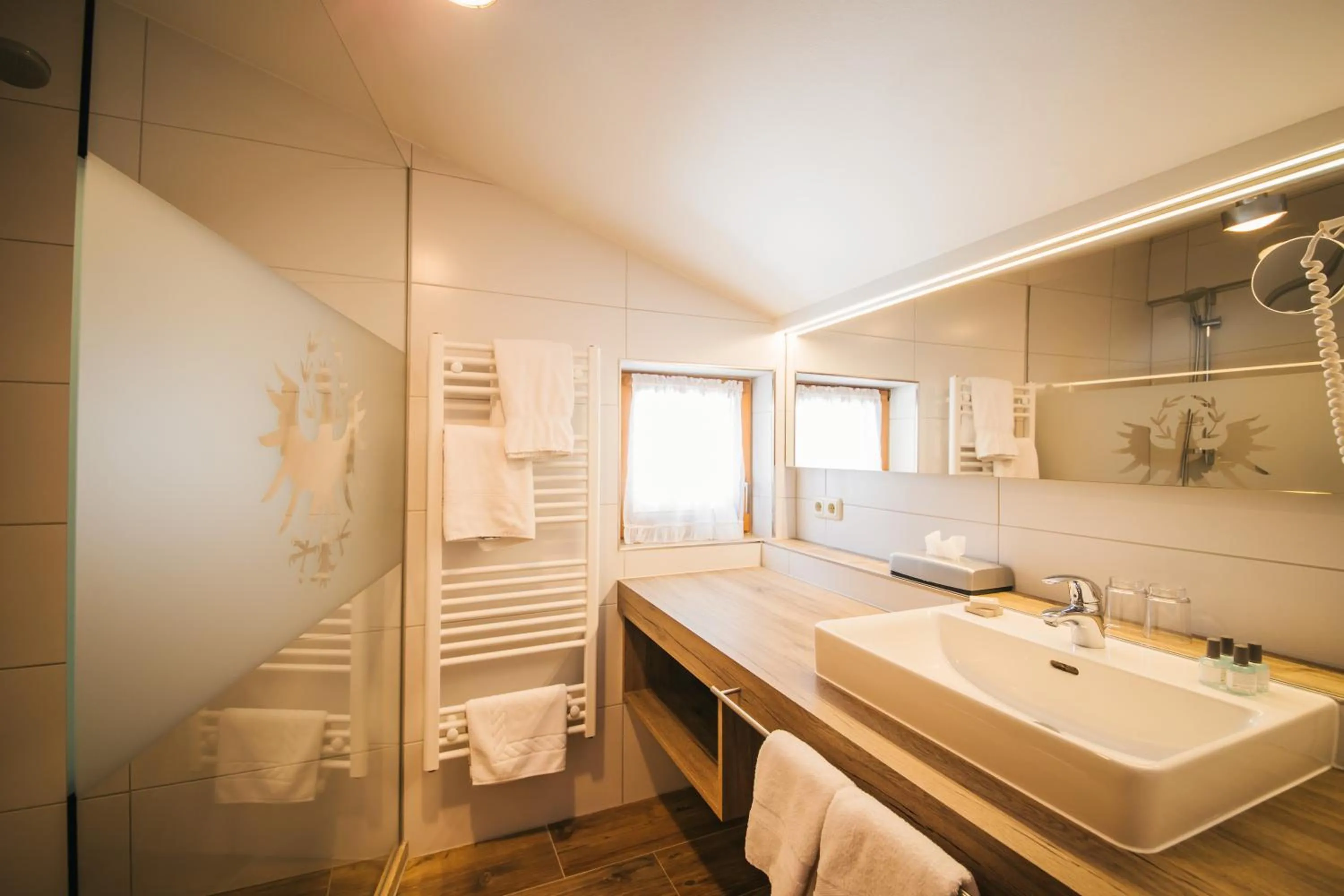 Bathroom in Hotel Dr Otto Murr B&B