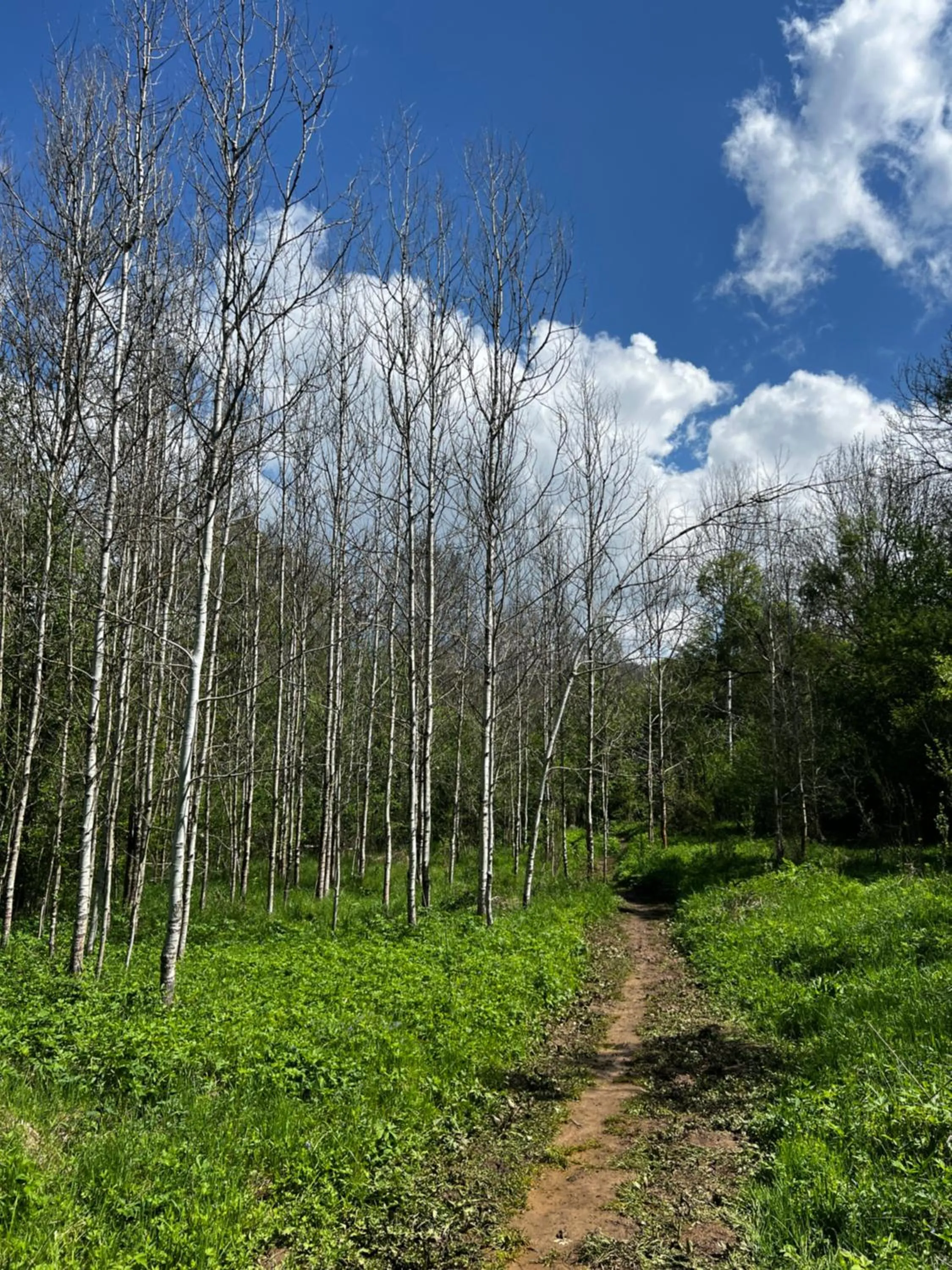 Hiking in Hotel Happy