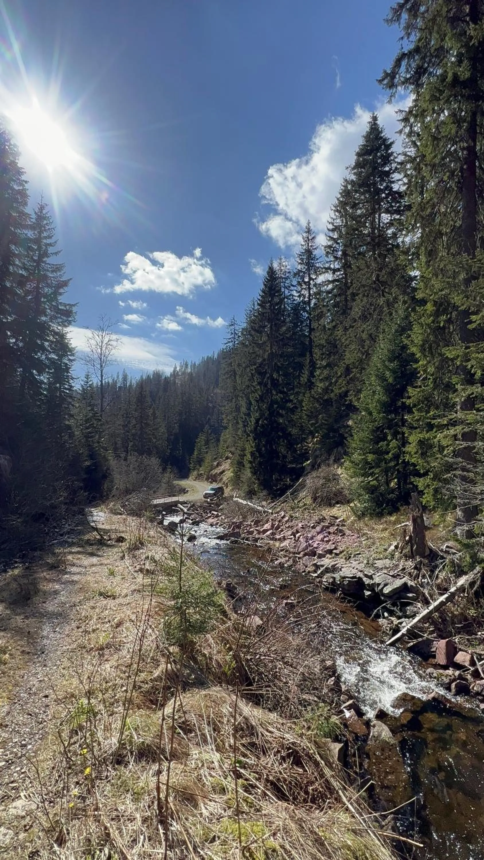 Hiking in Hotel Happy