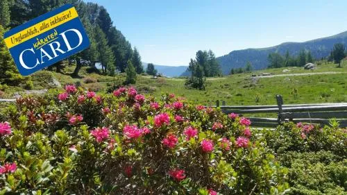 Genusshotel Almrausch