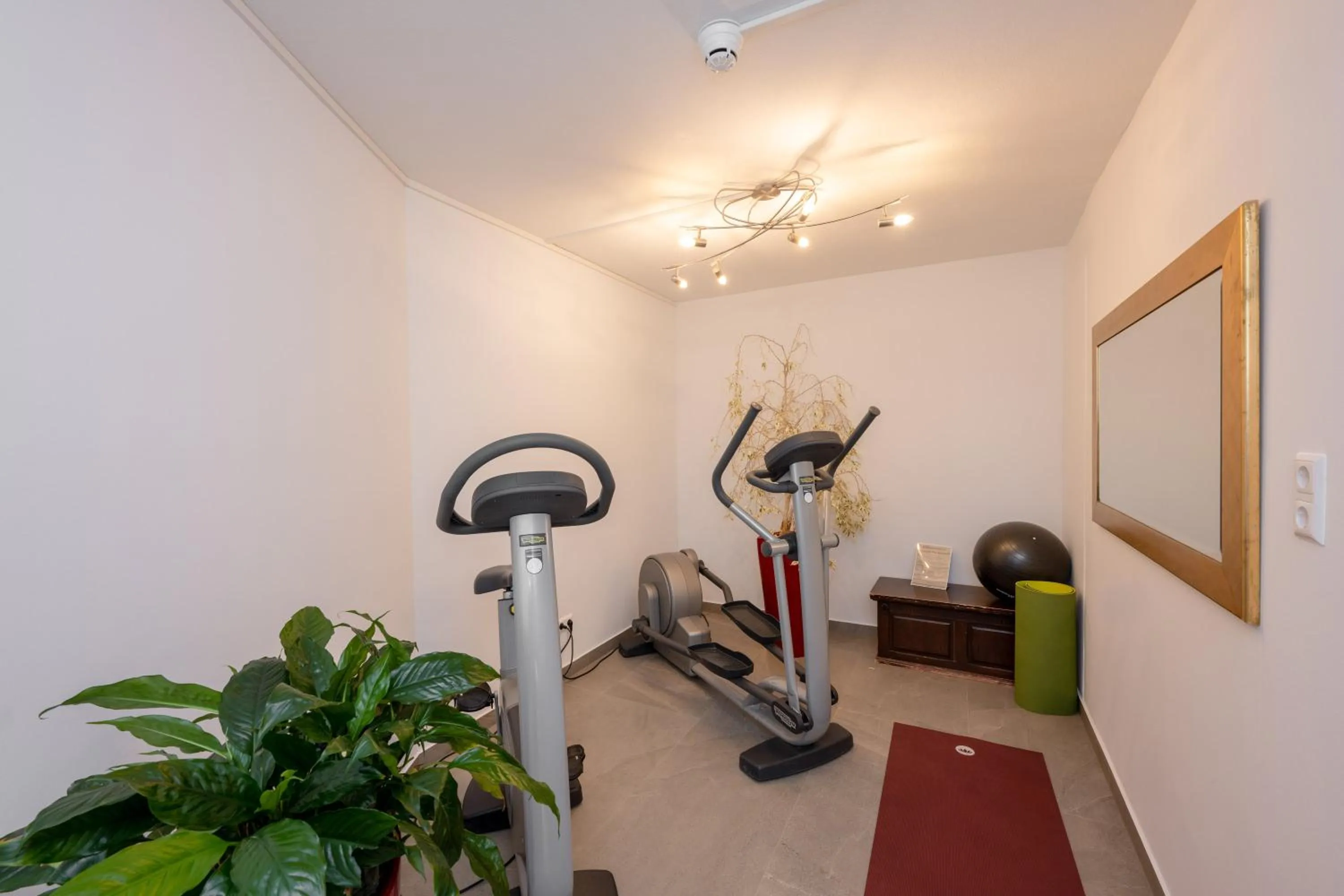 Fitness centre/facilities in Genusshotel Almrausch