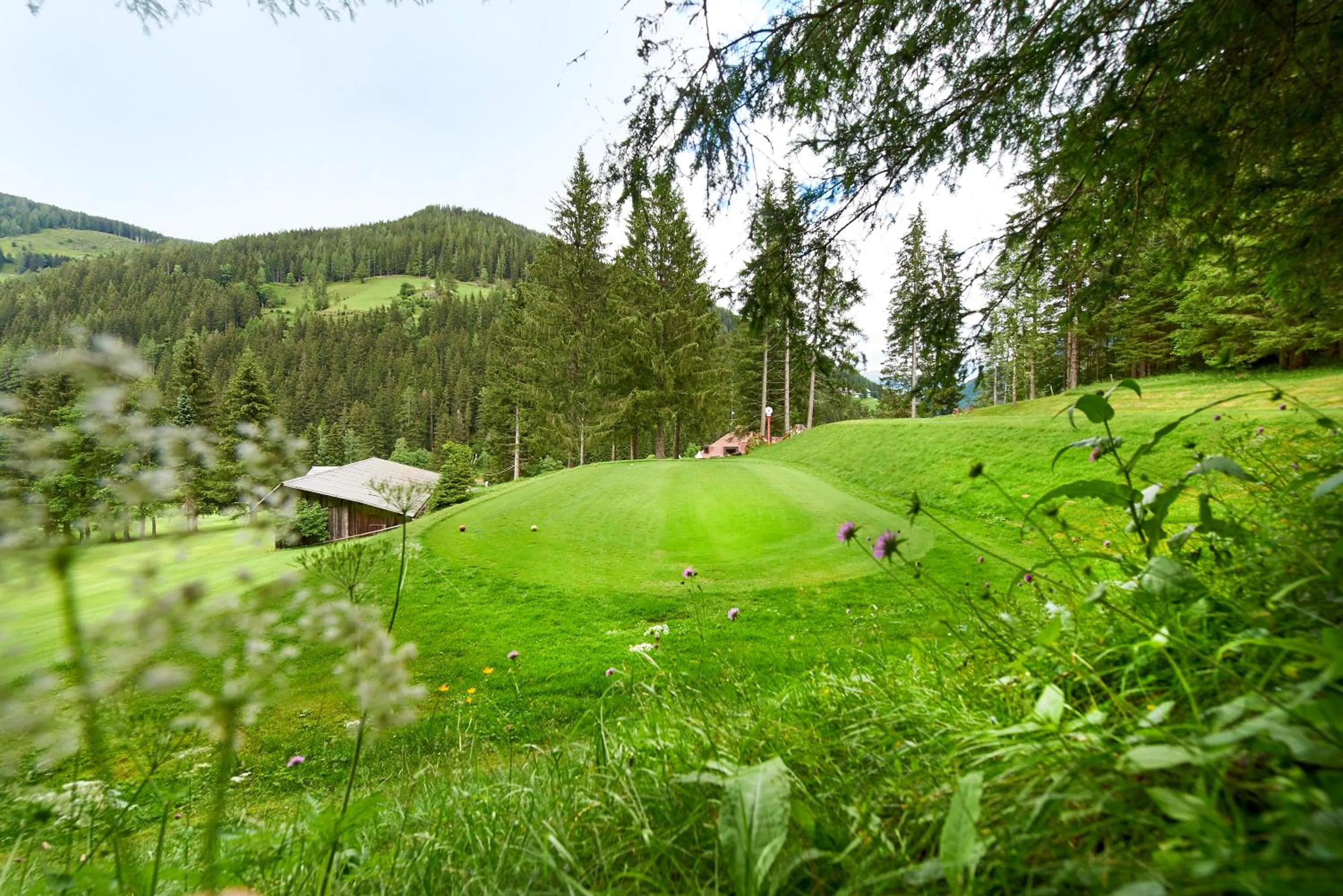 Golfcourse in Genusshotel Almrausch
