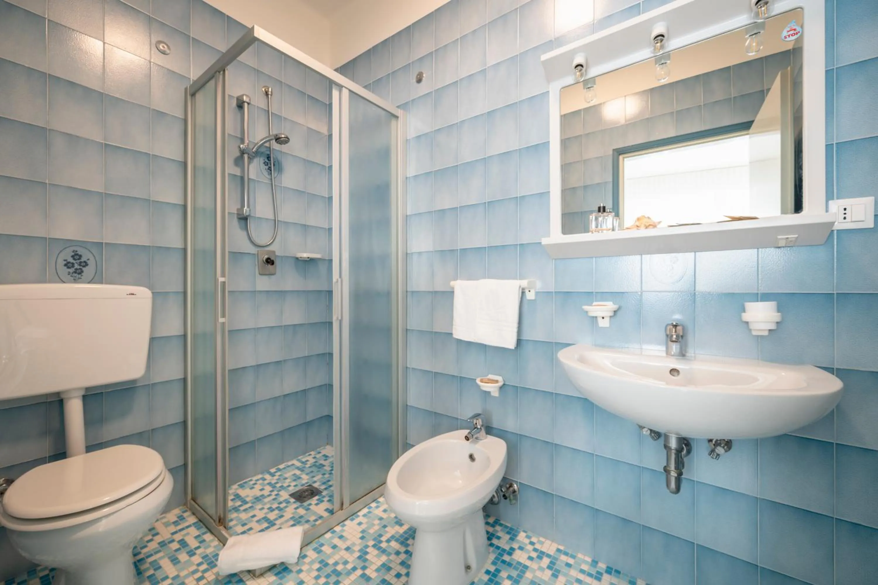 Shower in Aparthotel Pineda