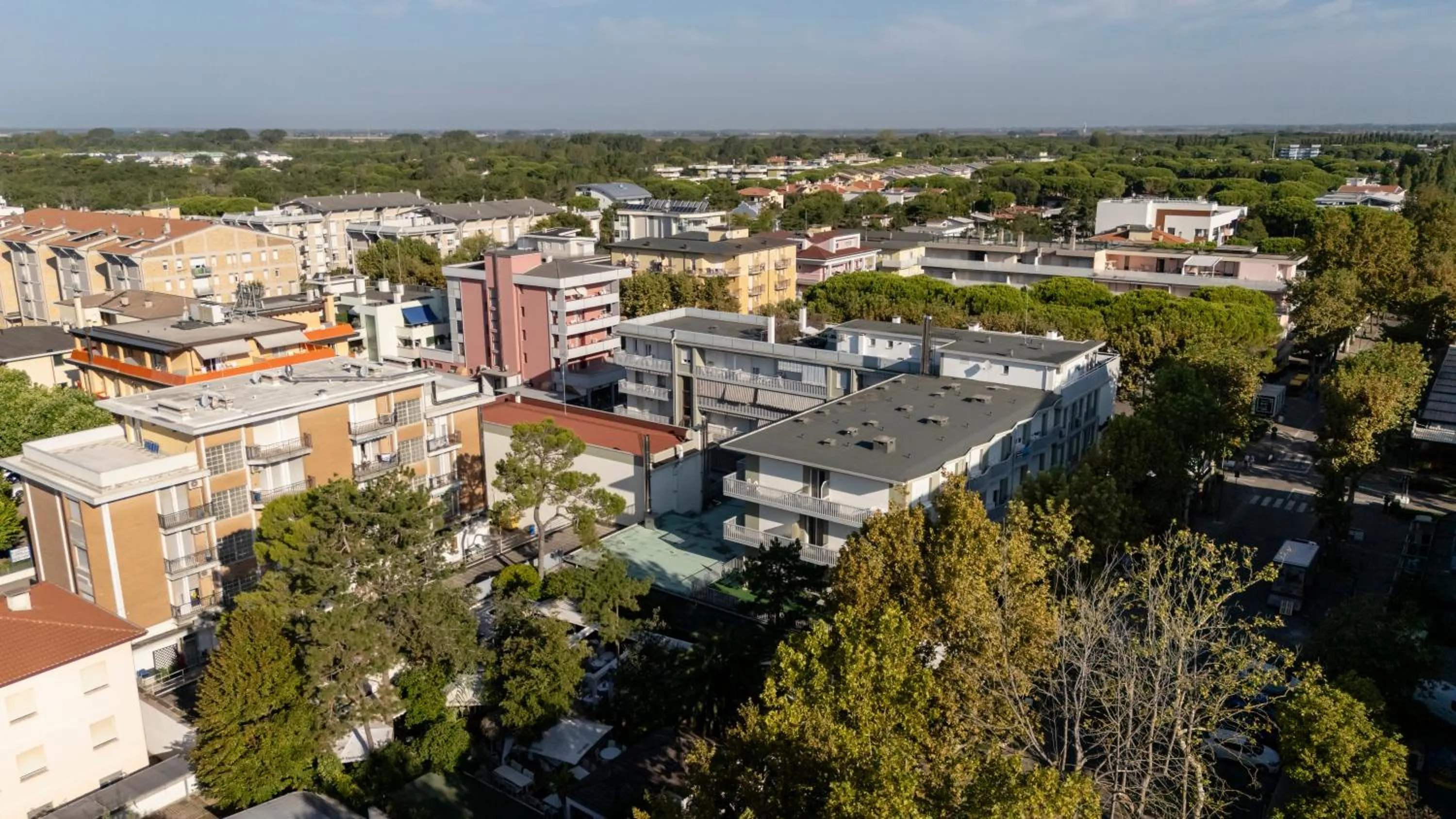 Bird's eye view in Aparthotel Pineda