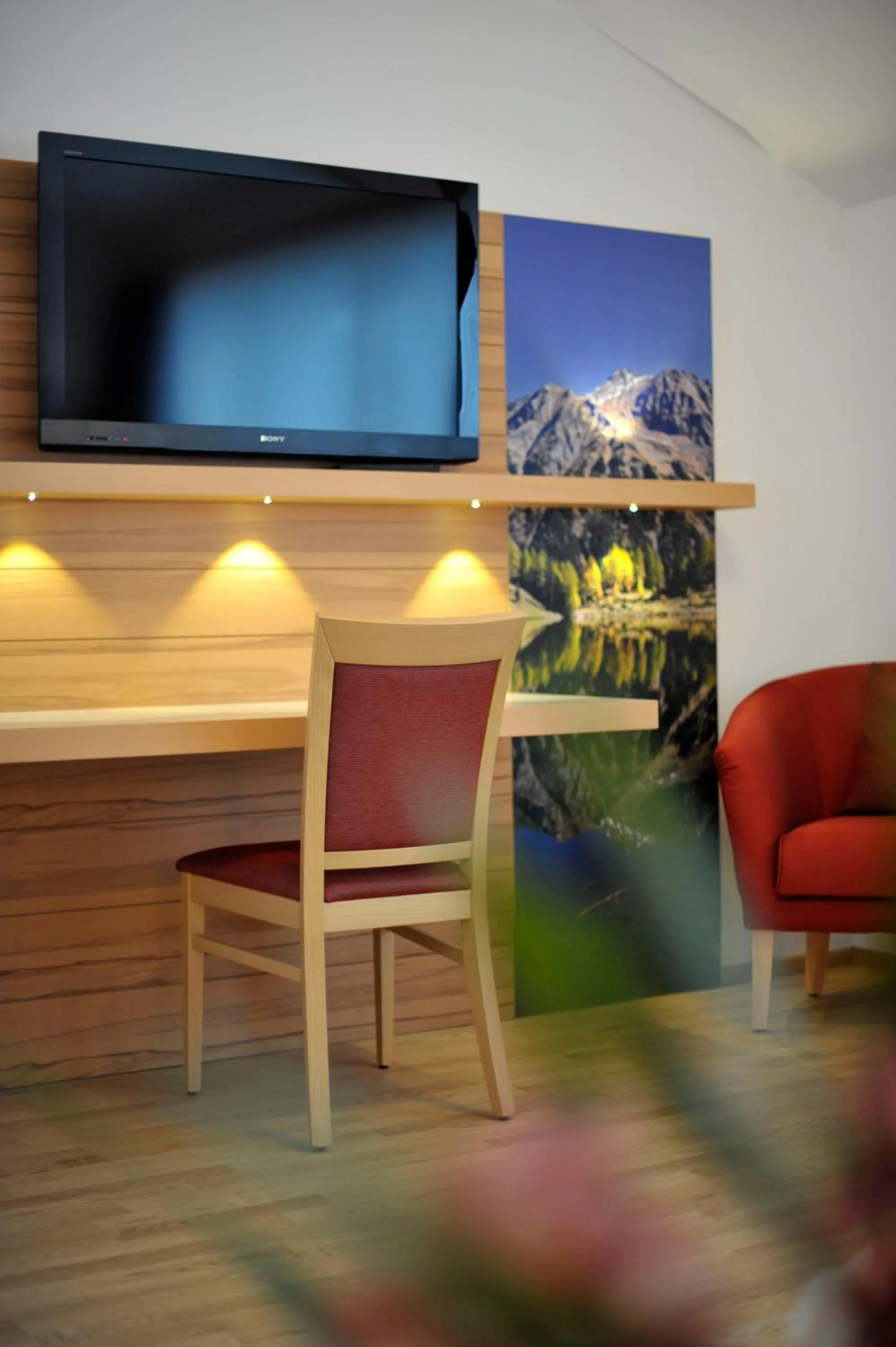 TV and multimedia in Hotel Sonnschupfer