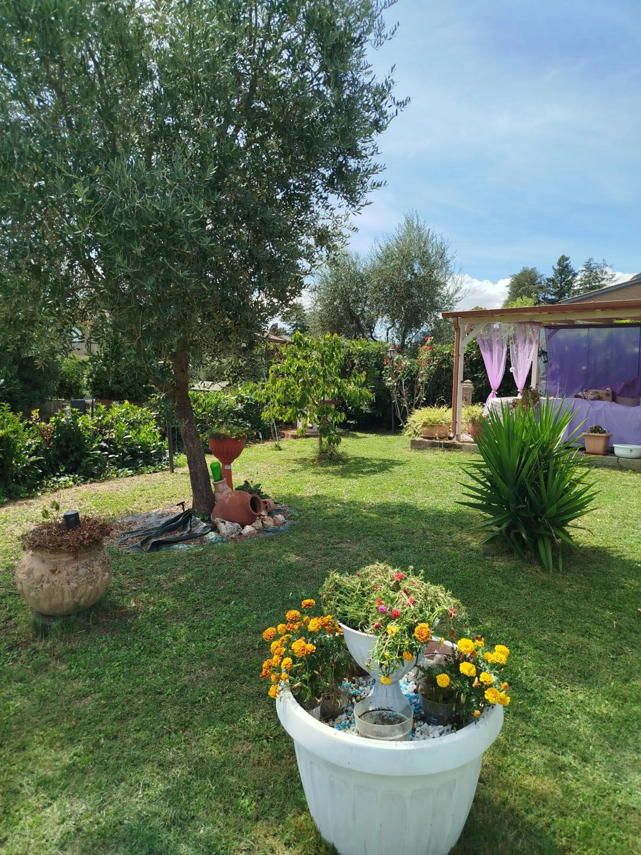 Garden in Gatto Matto