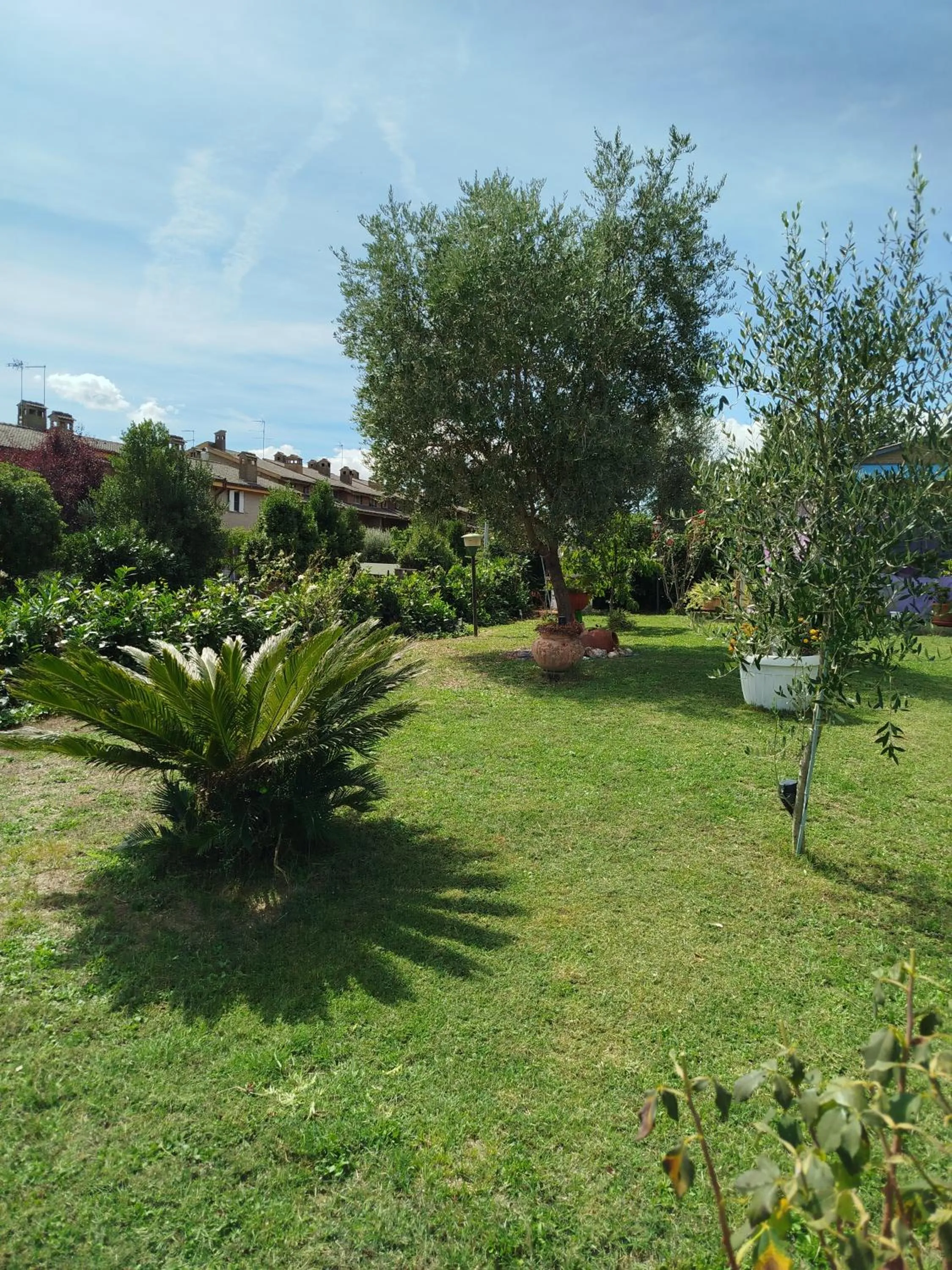Garden in Gatto Matto