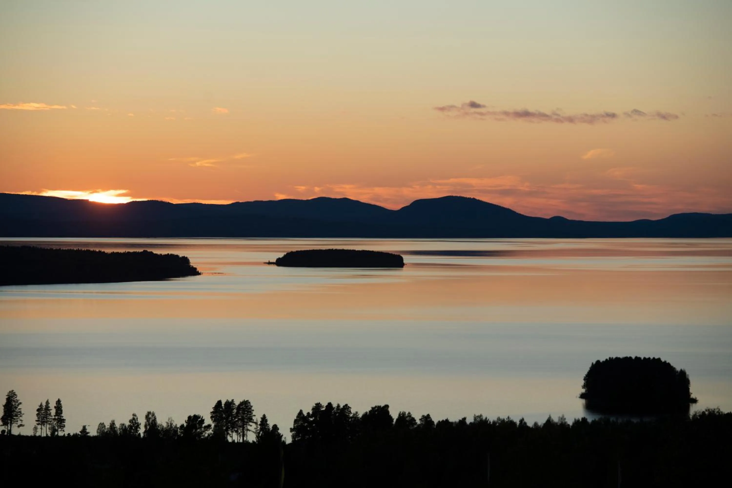 Natural landscape in Green Hotel
