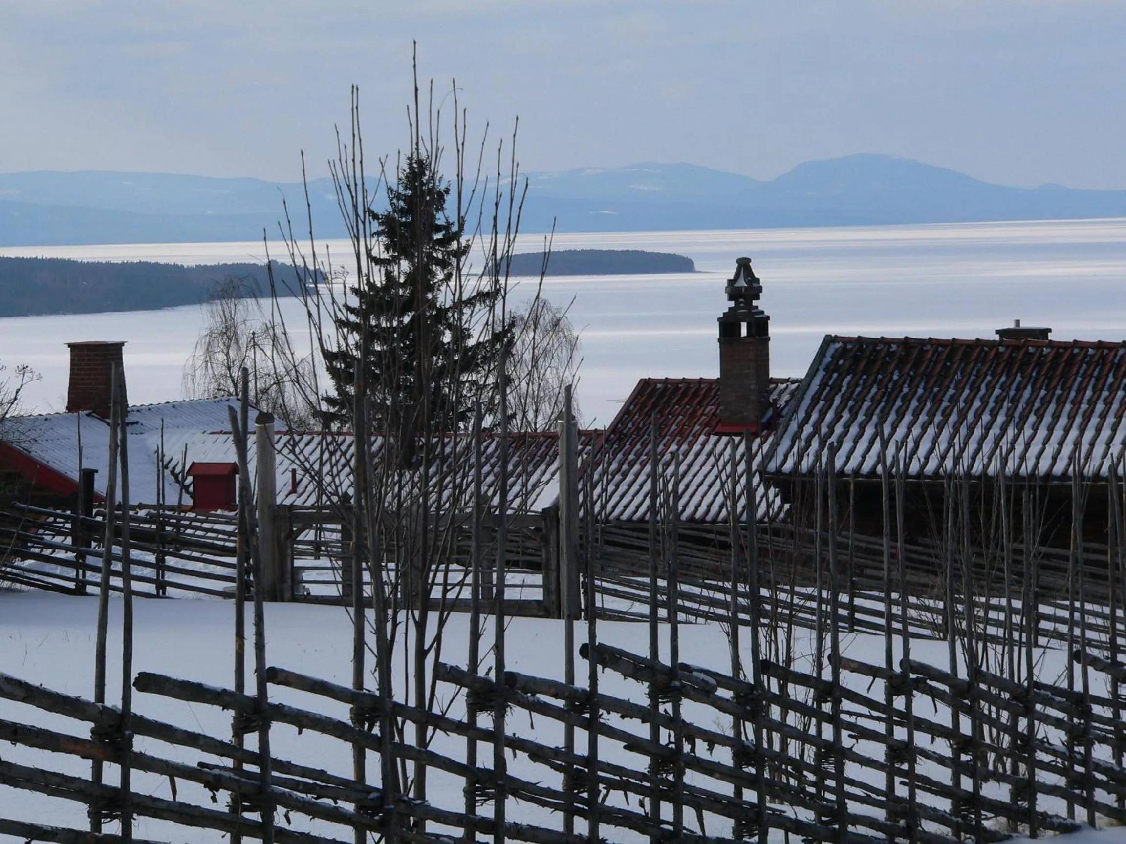 Natural landscape in Green Hotel