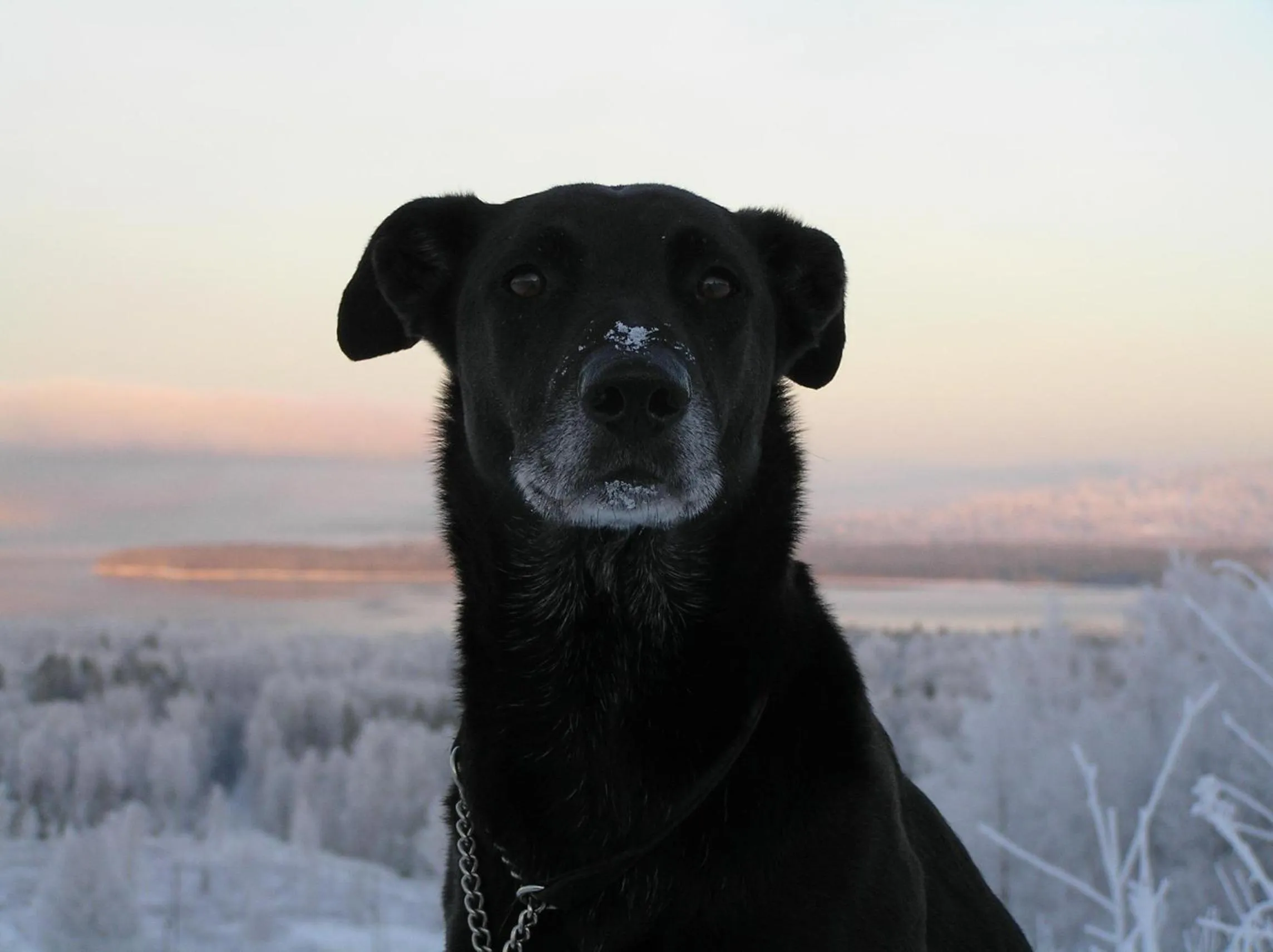 Winter in Green Hotel