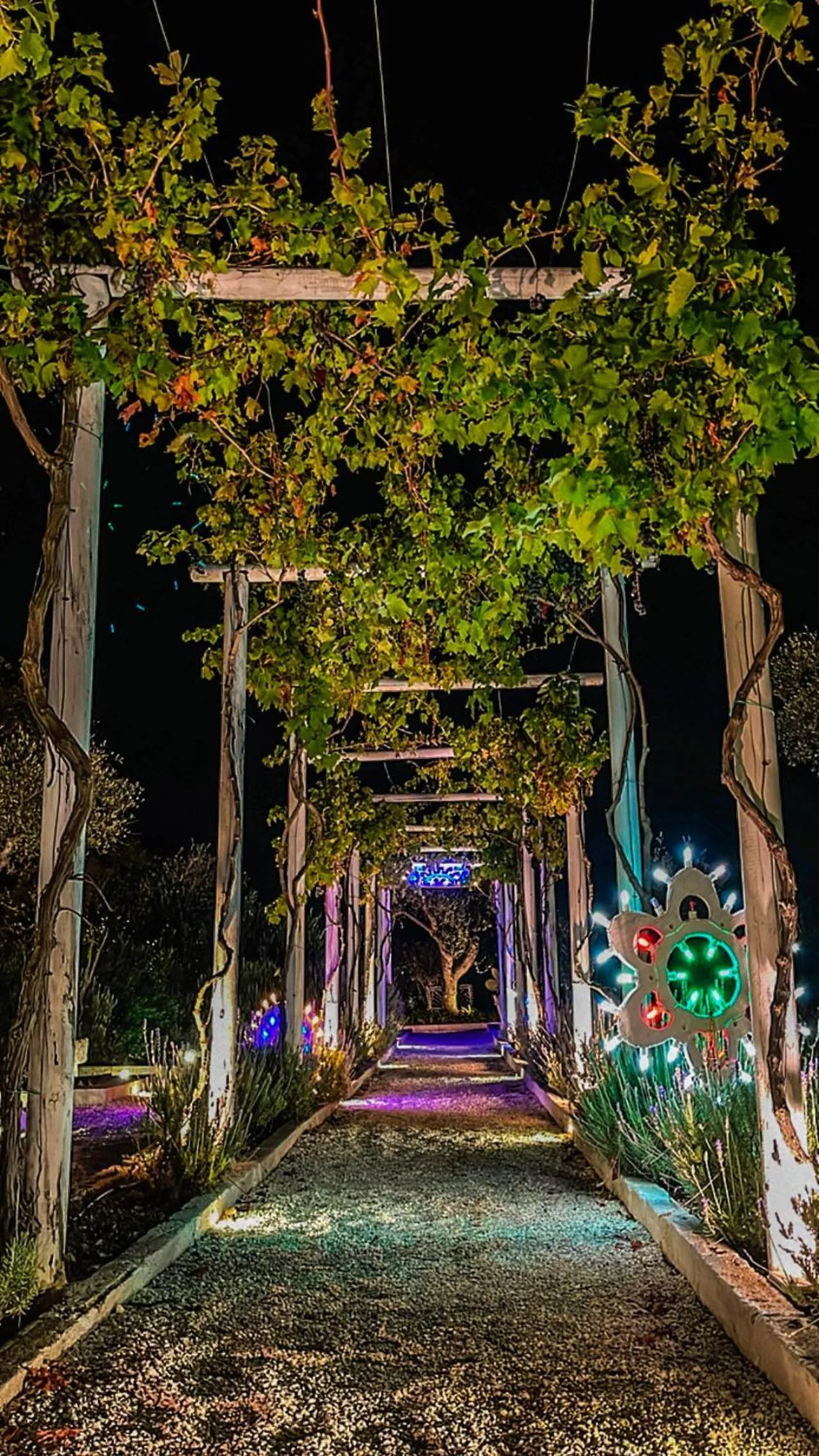 Garden in Tenuta del Lauro