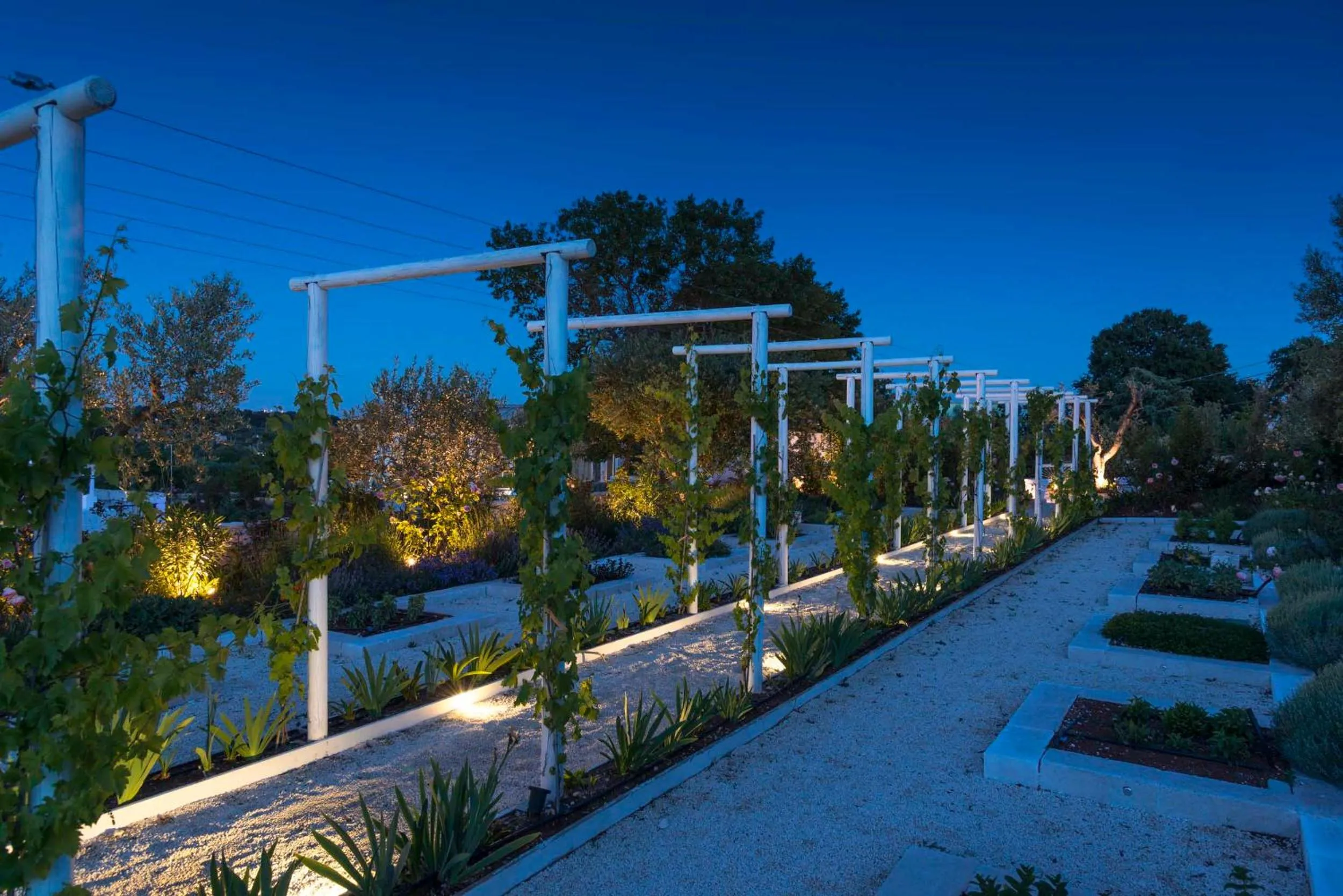 Spring in Tenuta del Lauro