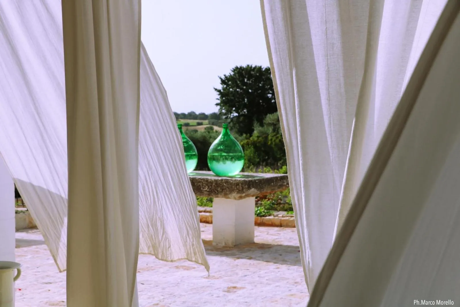 Day in Tenuta del Lauro