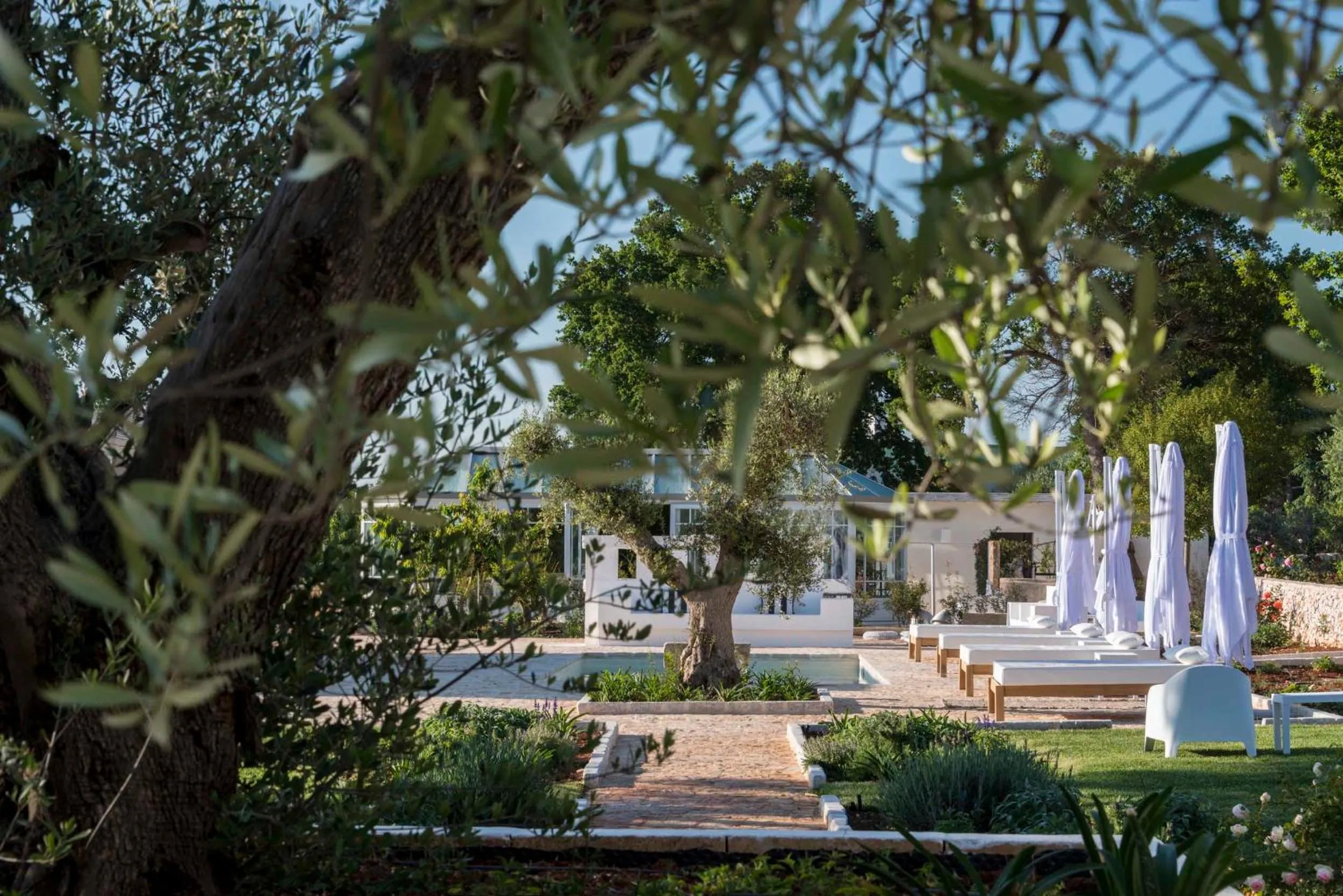 Day in Tenuta del Lauro