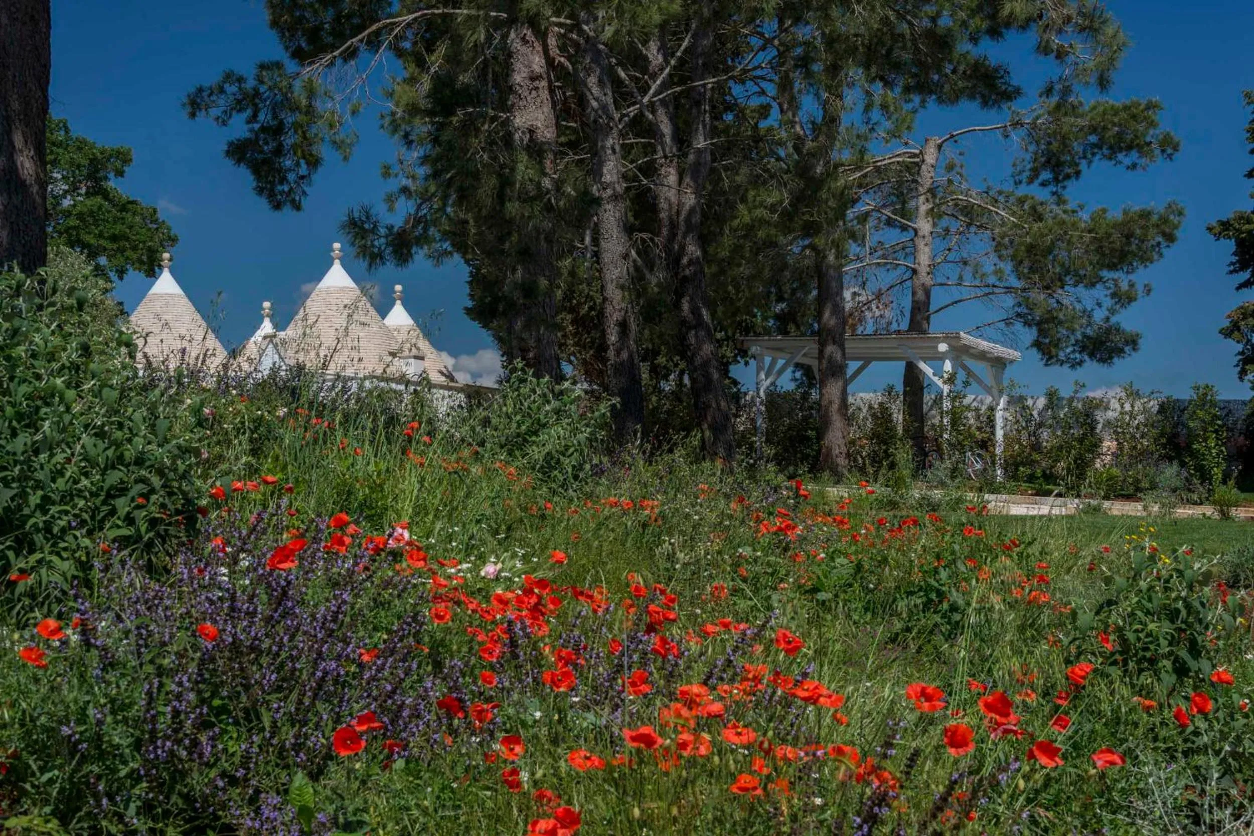 Spring in Tenuta del Lauro