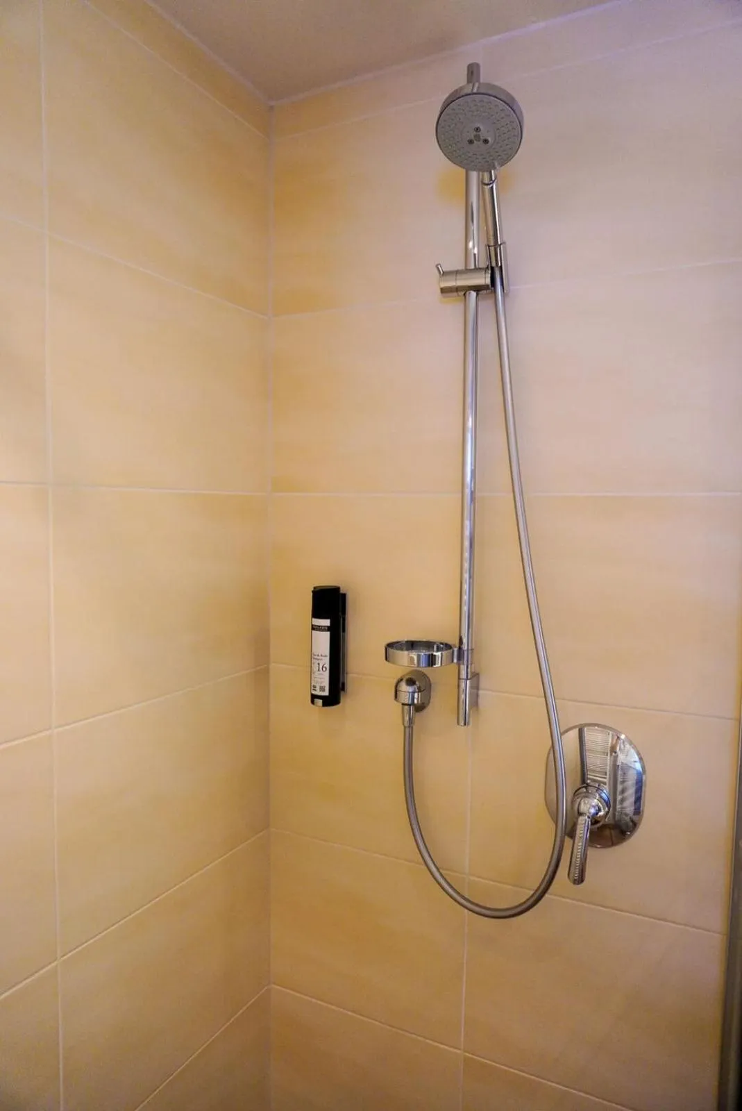 Shower in Hotel Vier Jahreszeiten