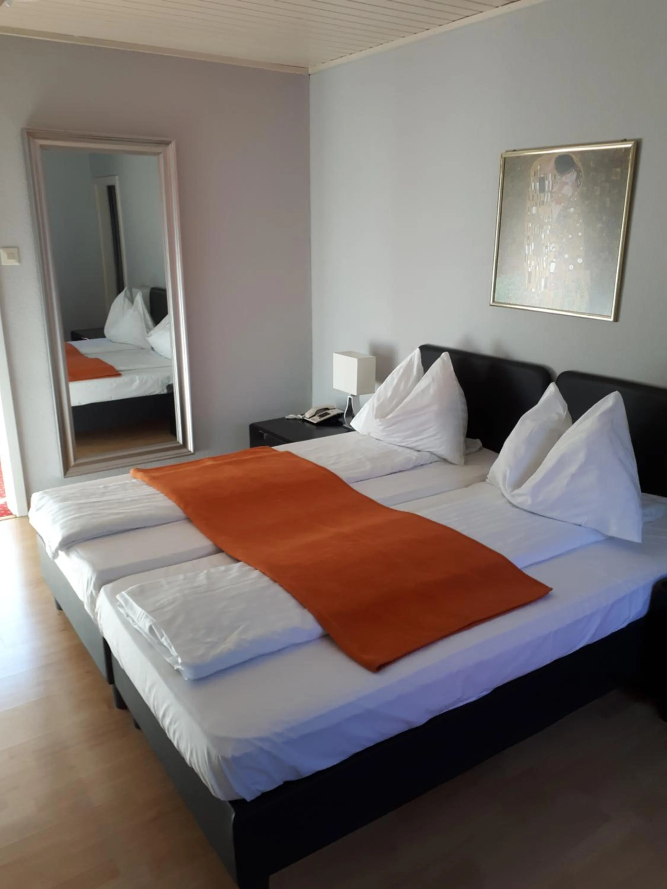 Economy Double Room in Landidyll-Hotel Nudelbacher