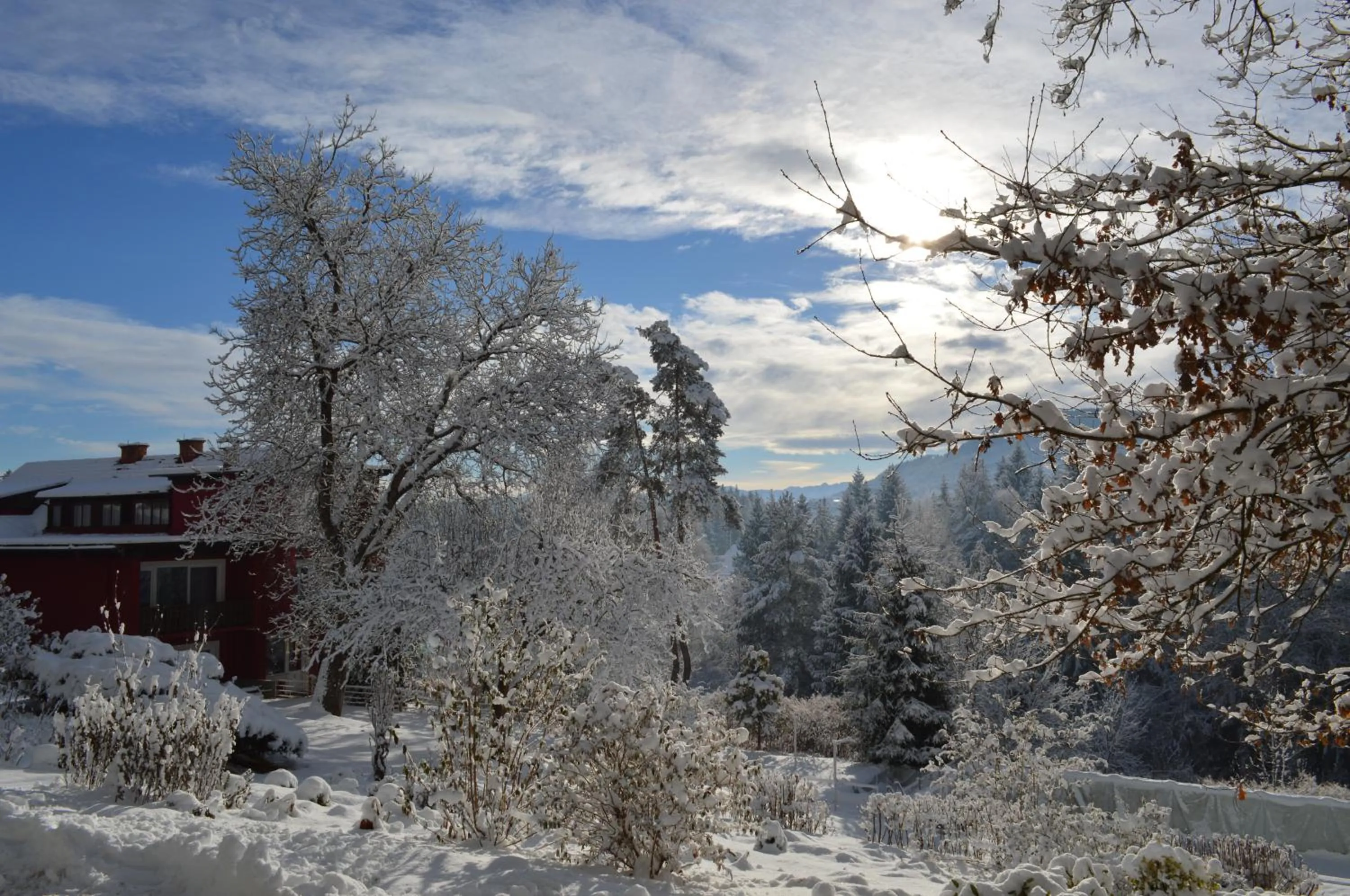 Natural landscape in Landidyll-Hotel Nudelbacher