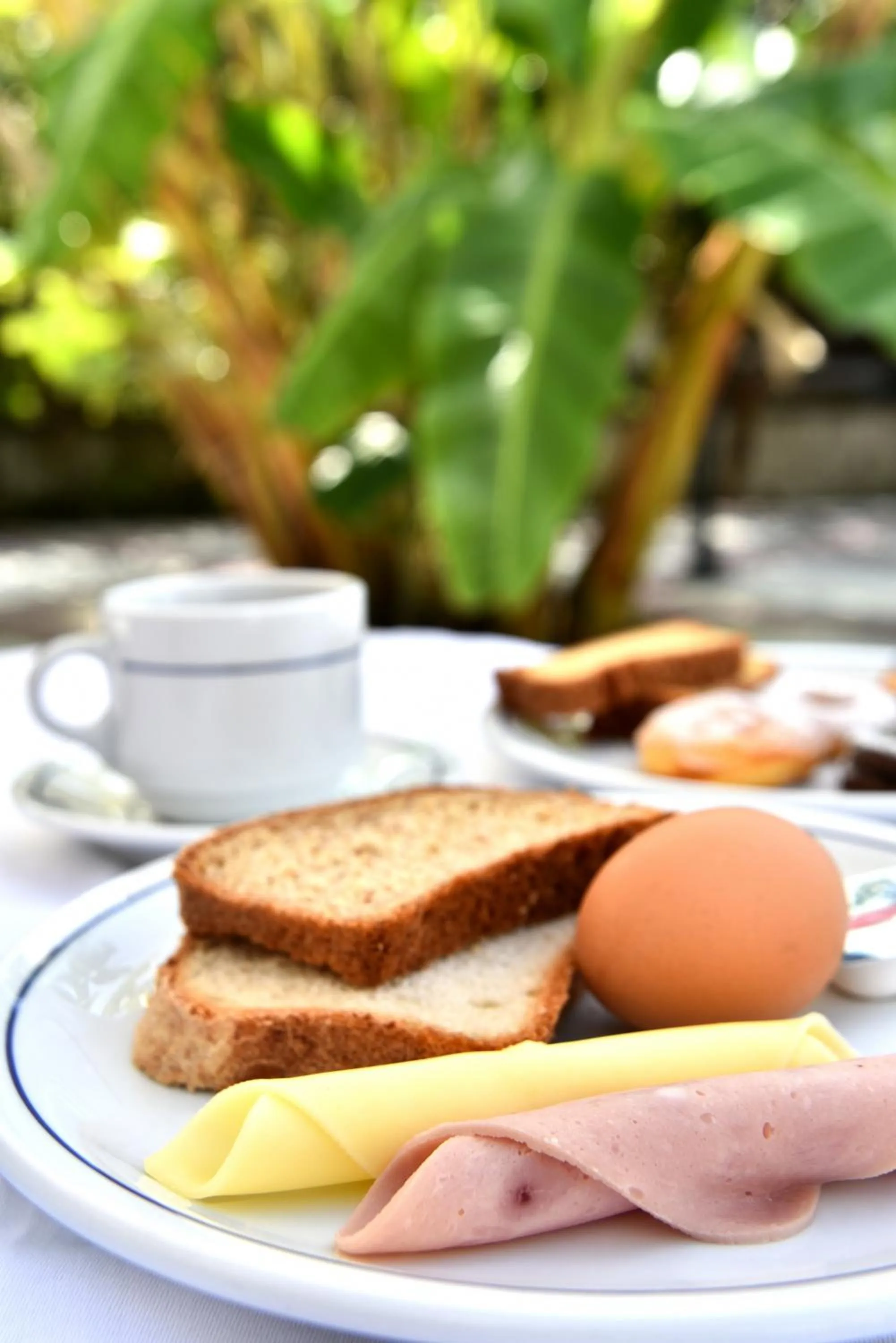 Continental breakfast in Hotel Korali