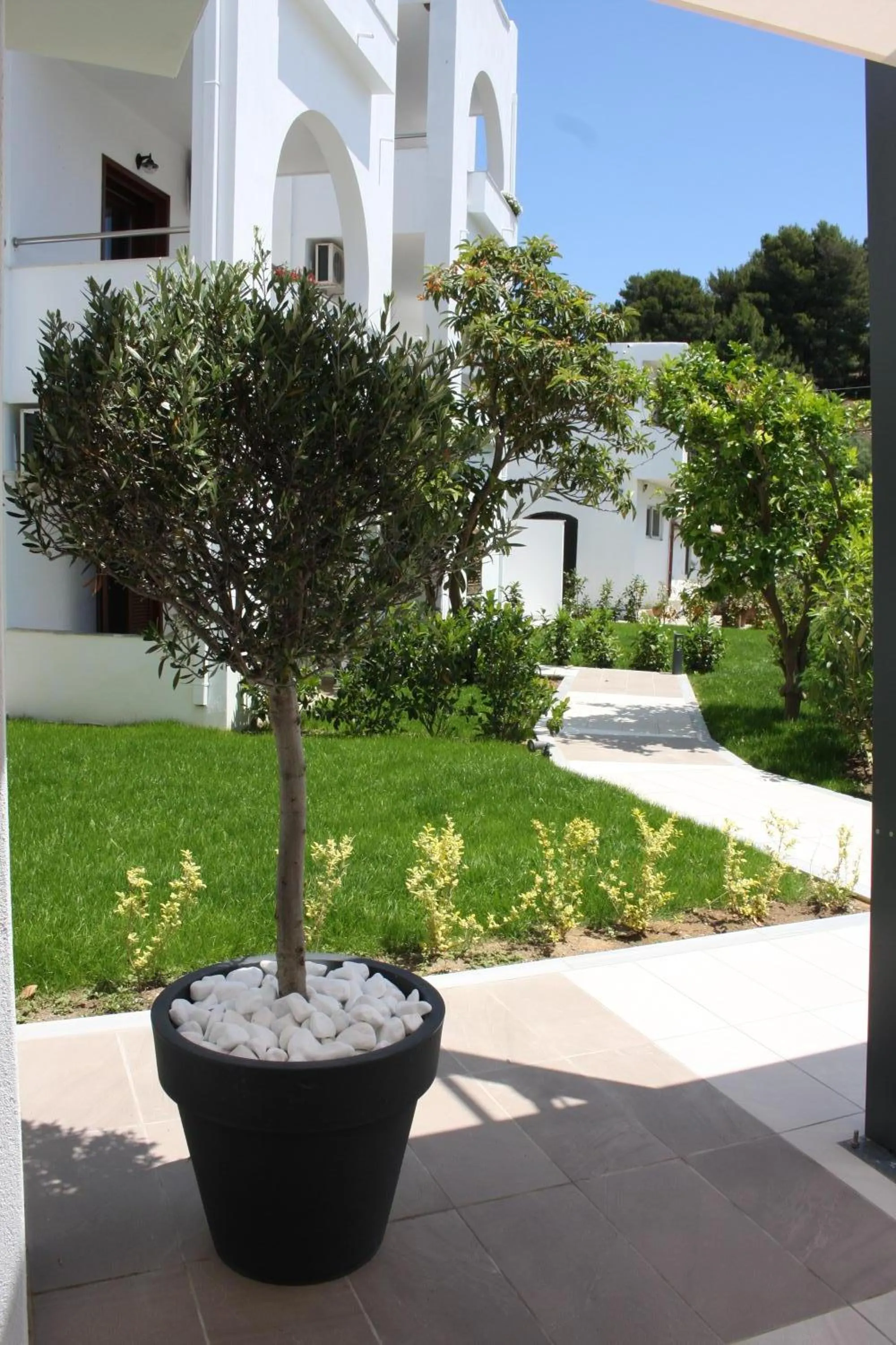 Garden in Hotel Korali