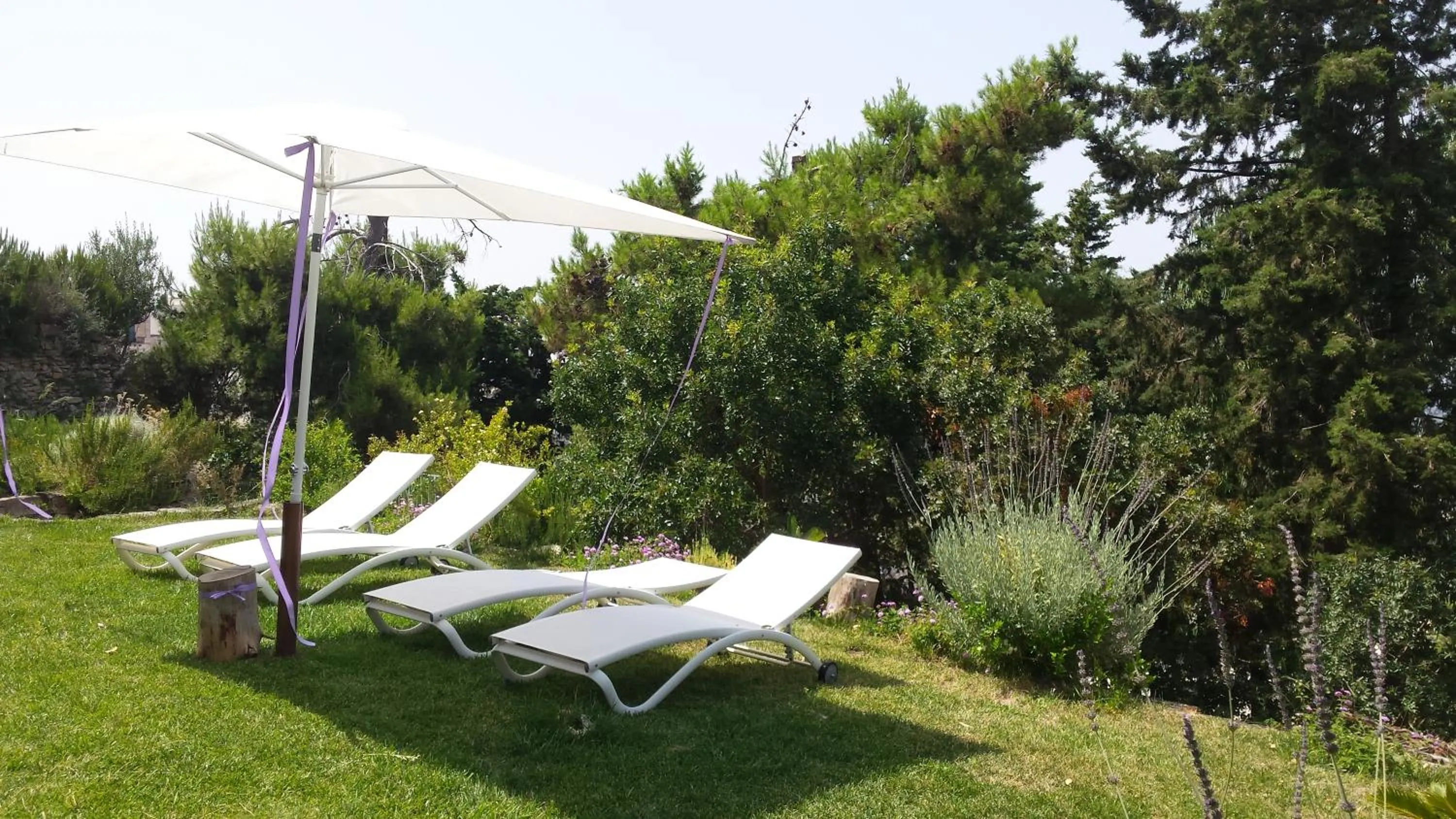 Patio in Biancadamare