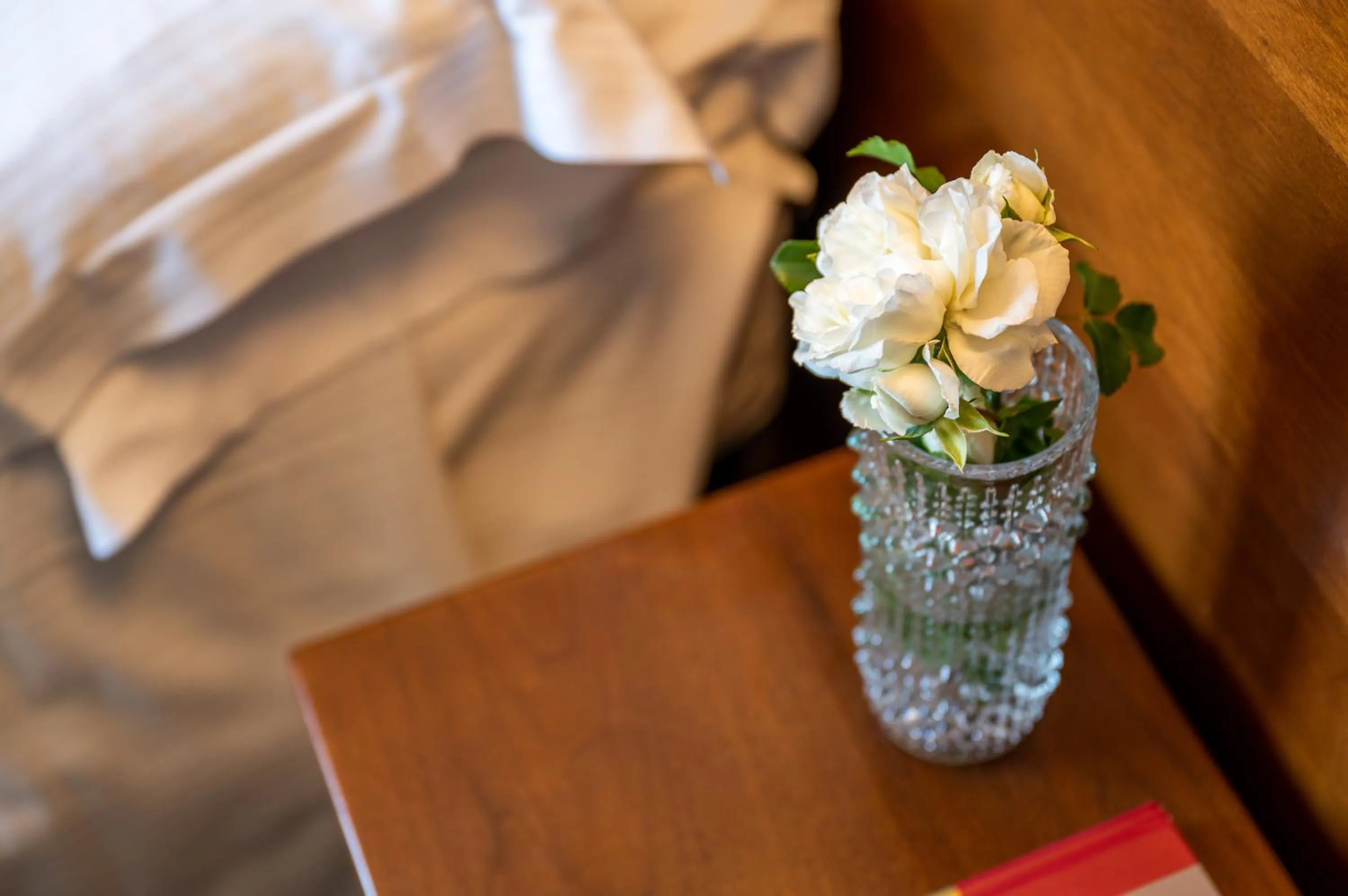 Hotel Terme Posta Padova HOTEL RC12