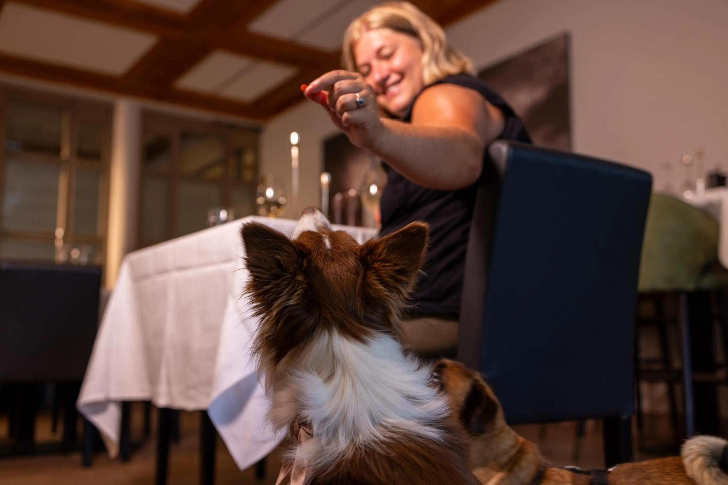 Lounge or bar in Aldiana Club Ampflwang