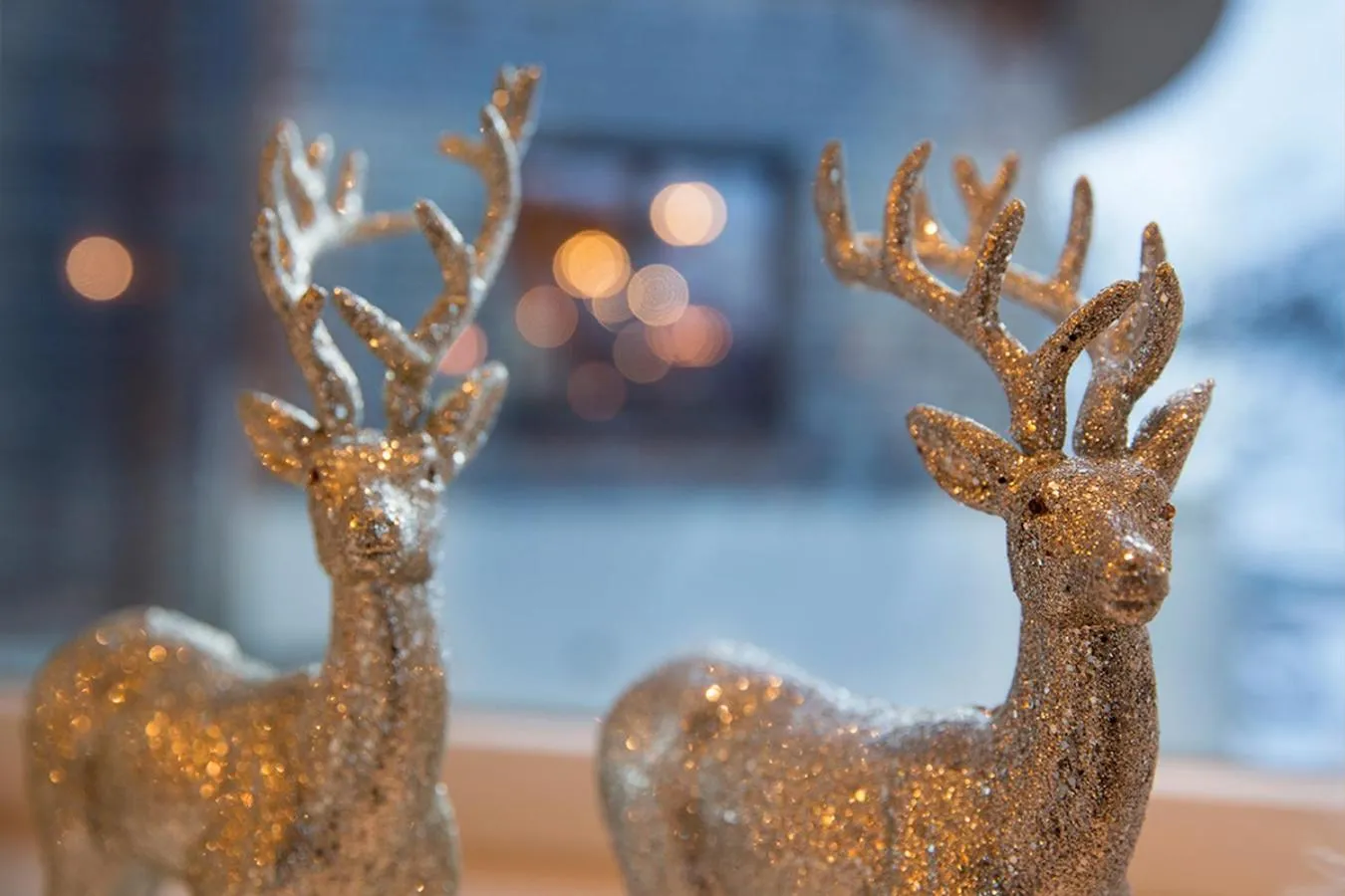 Winter in Hotel Bergwelt