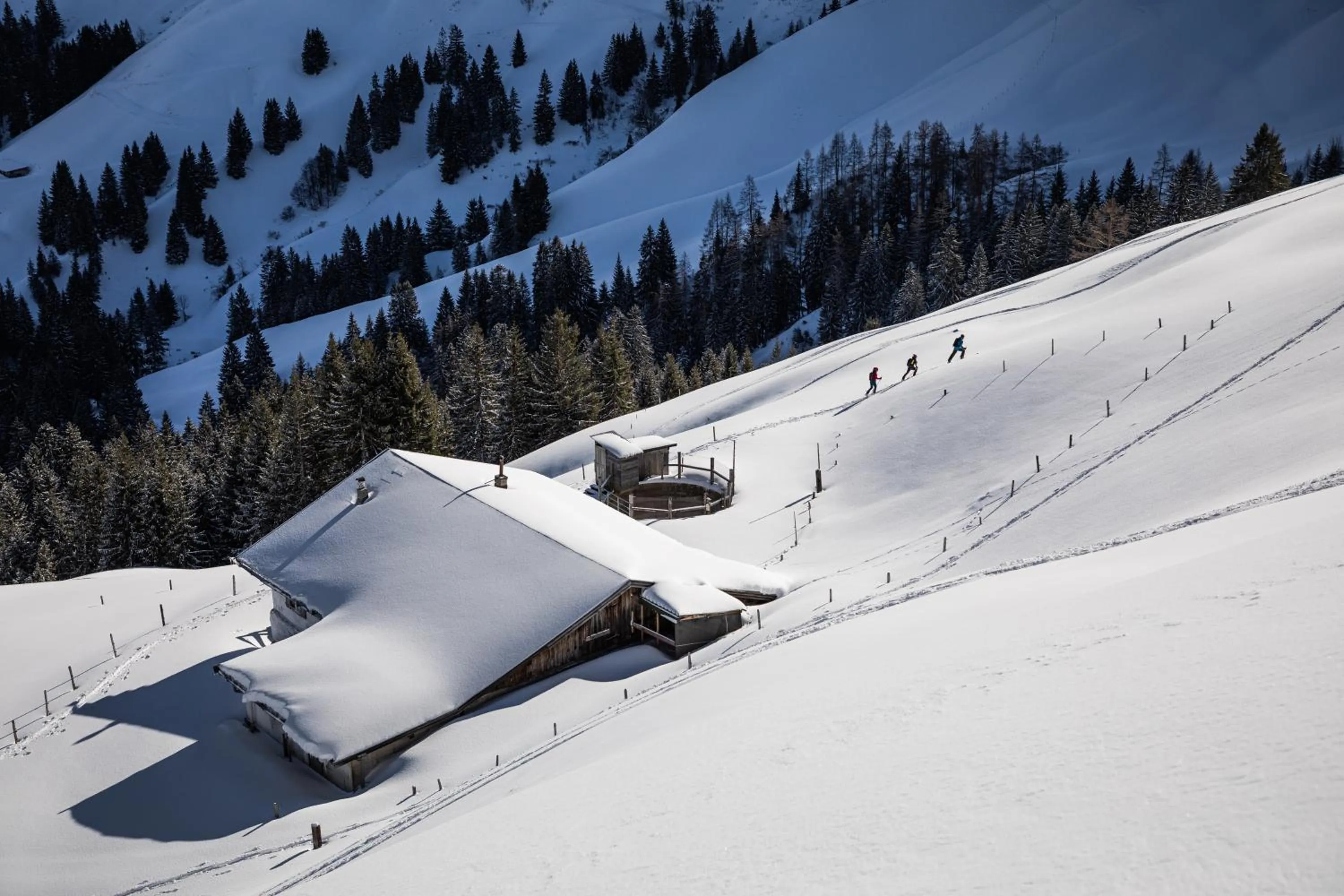 Skiing in Hotel Fischer