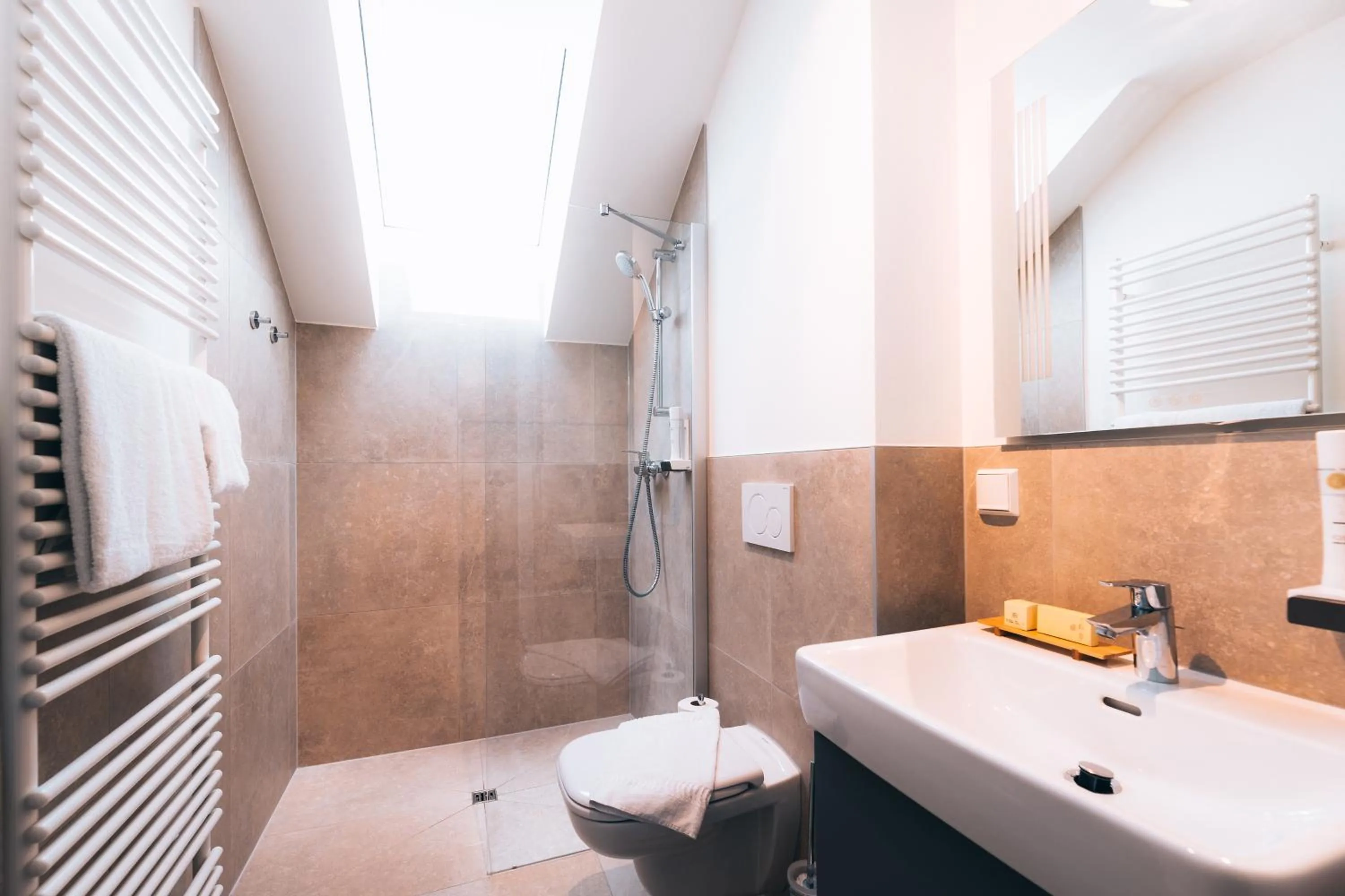 Shower in Hotel Das Essigmanngut