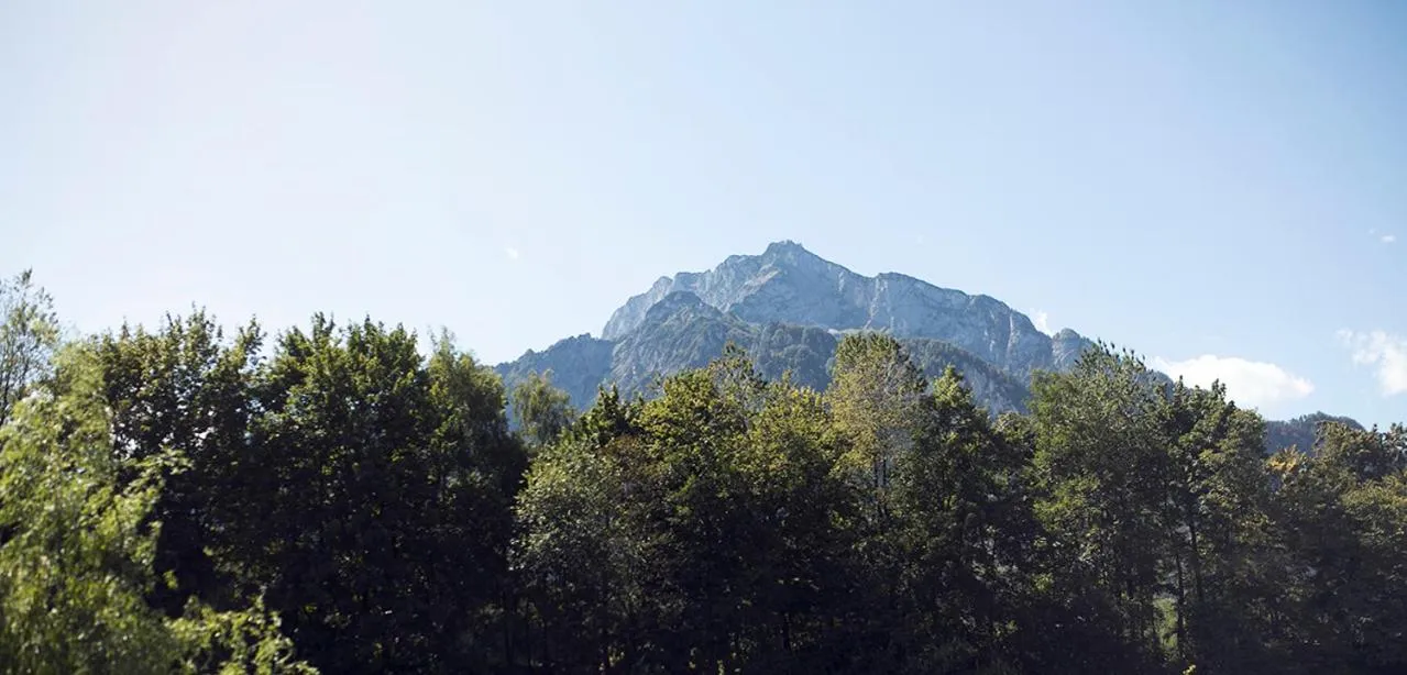 Natural landscape in Hotel Das Essigmanngut