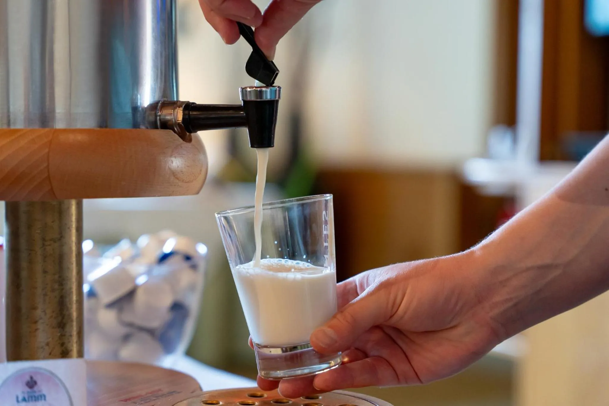 Drinks in Hotel zum Lamm