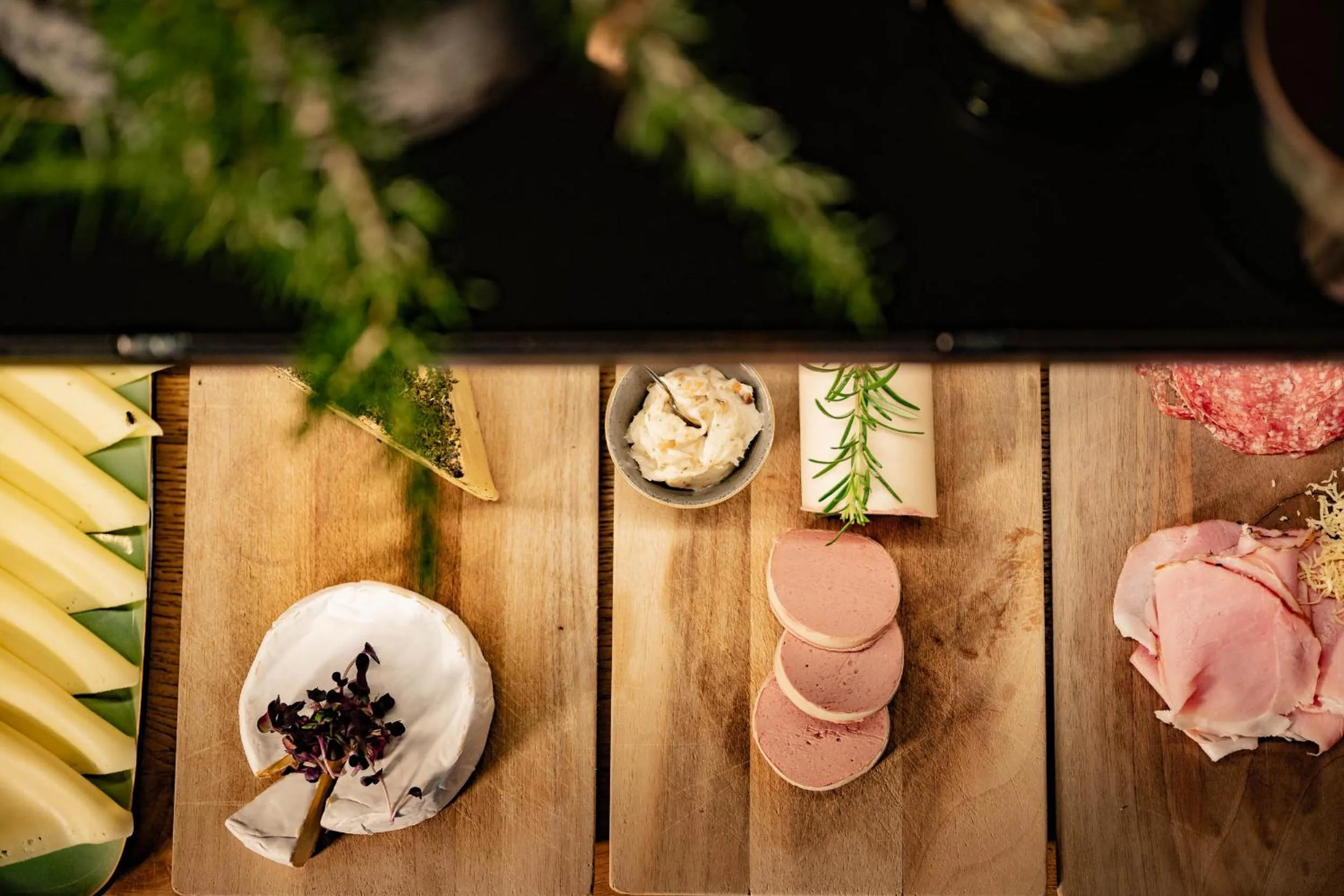 Food and drinks in Schönherr Haus