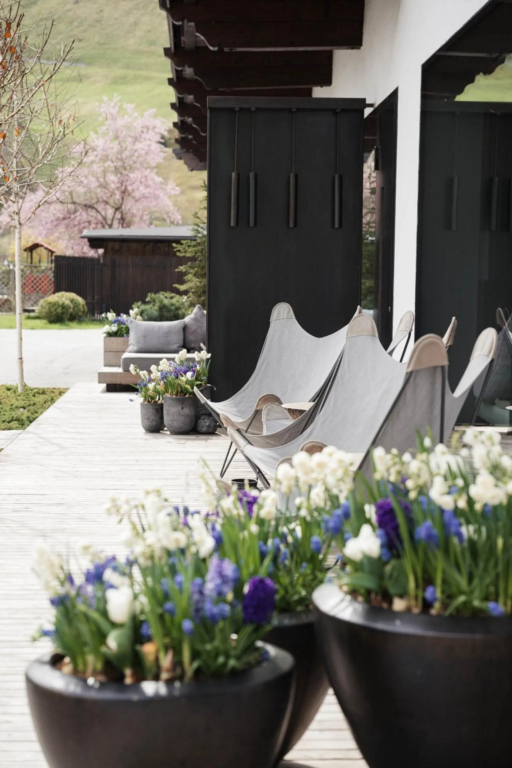 Balcony/Terrace in Schönherr Haus