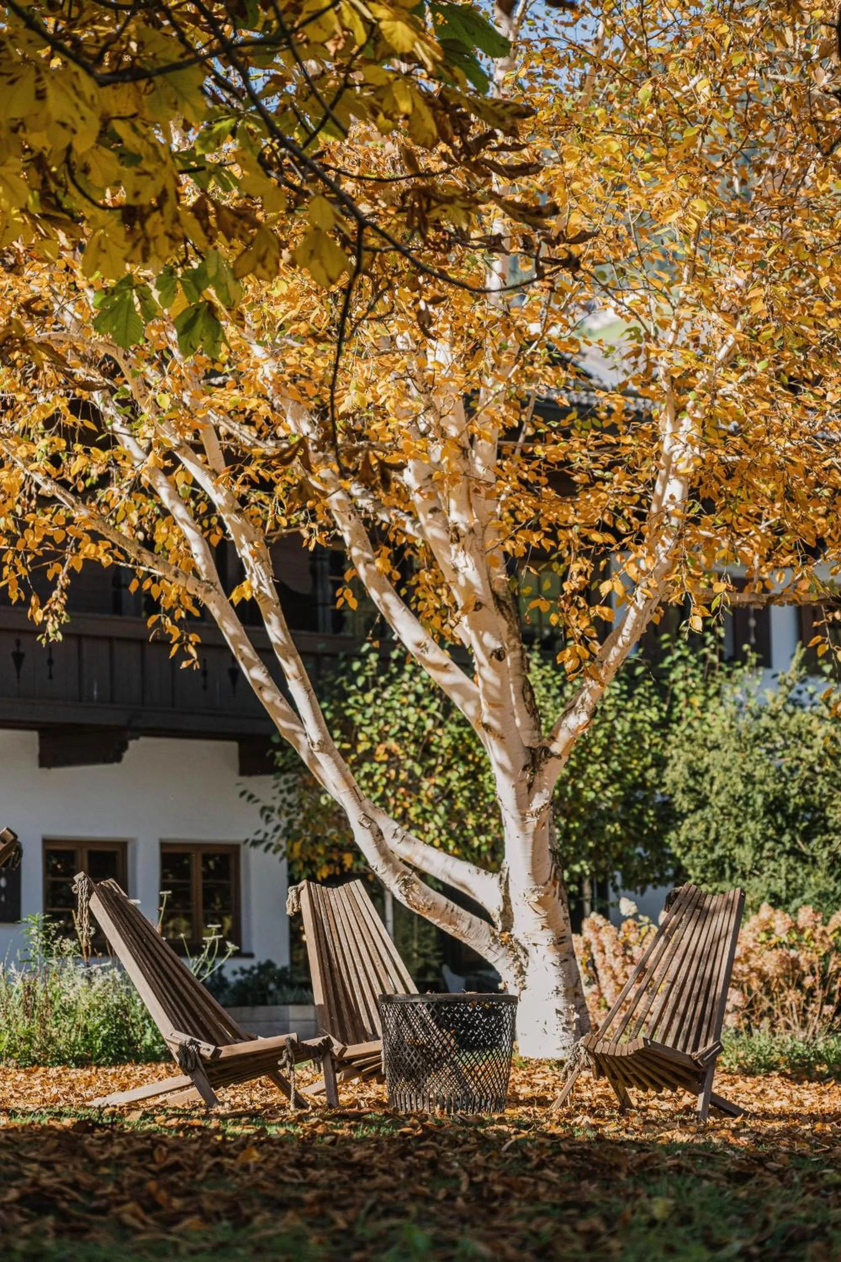 Natural landscape in Schönherr Haus