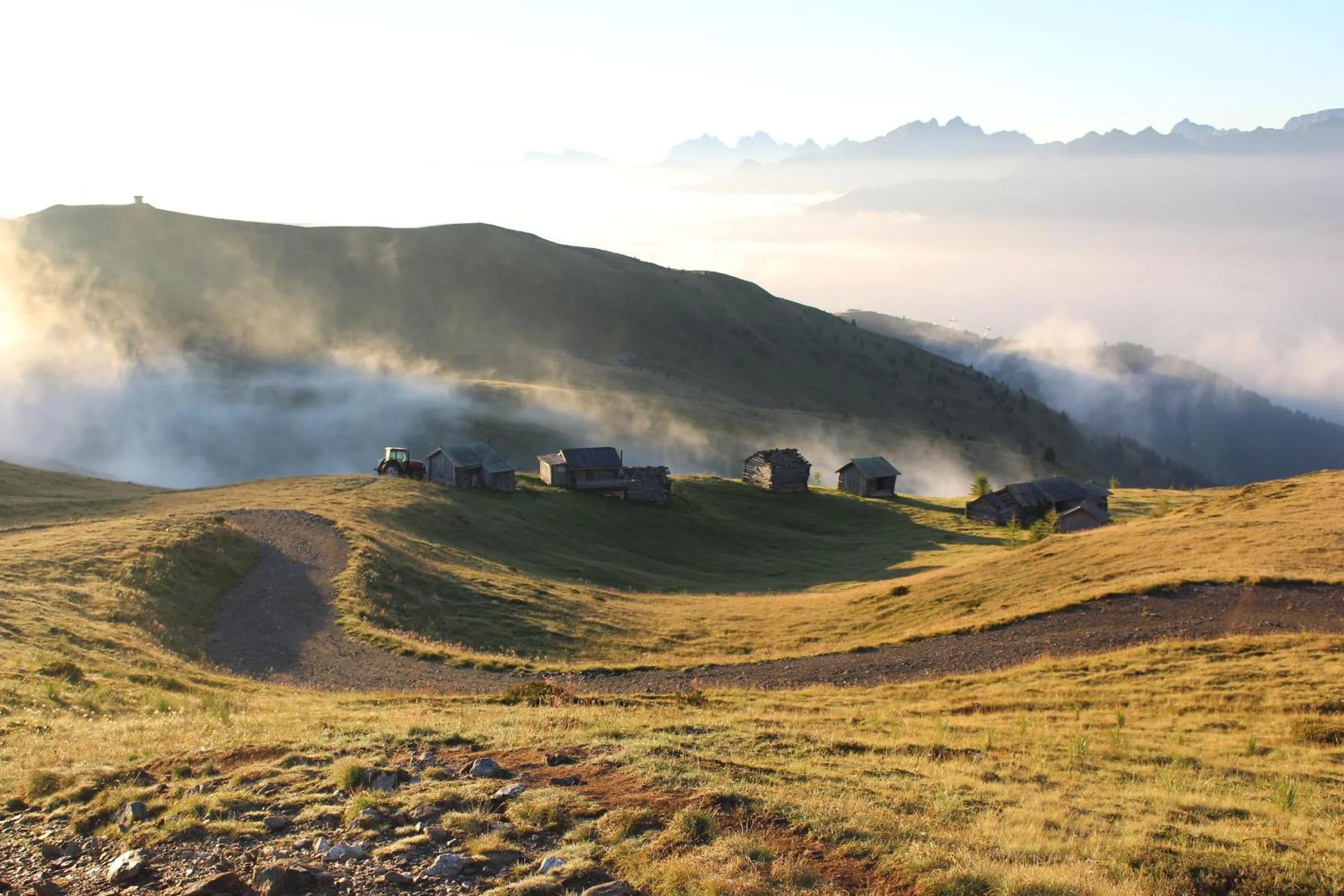 Spring in Hotel Weiler - Aktiv & Tradition