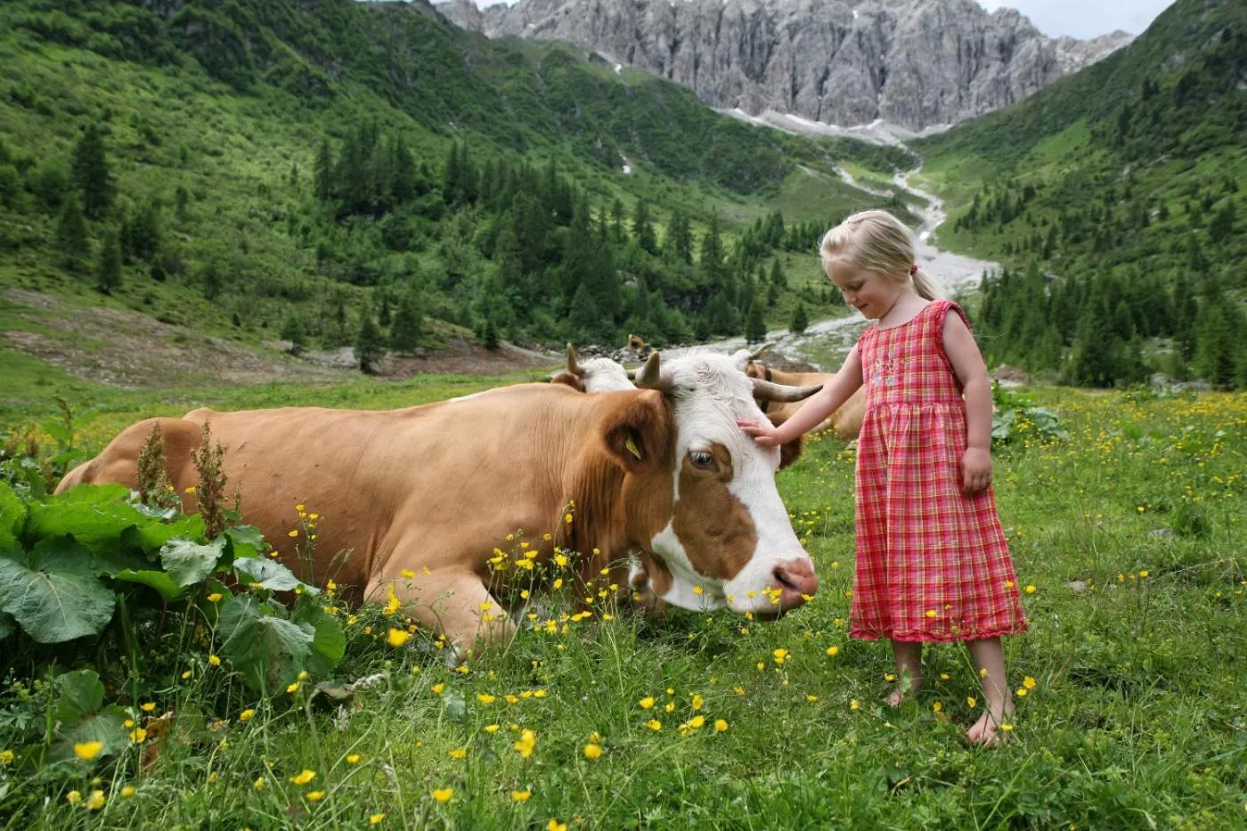 Spring in Hotel Weiler - Aktiv & Tradition