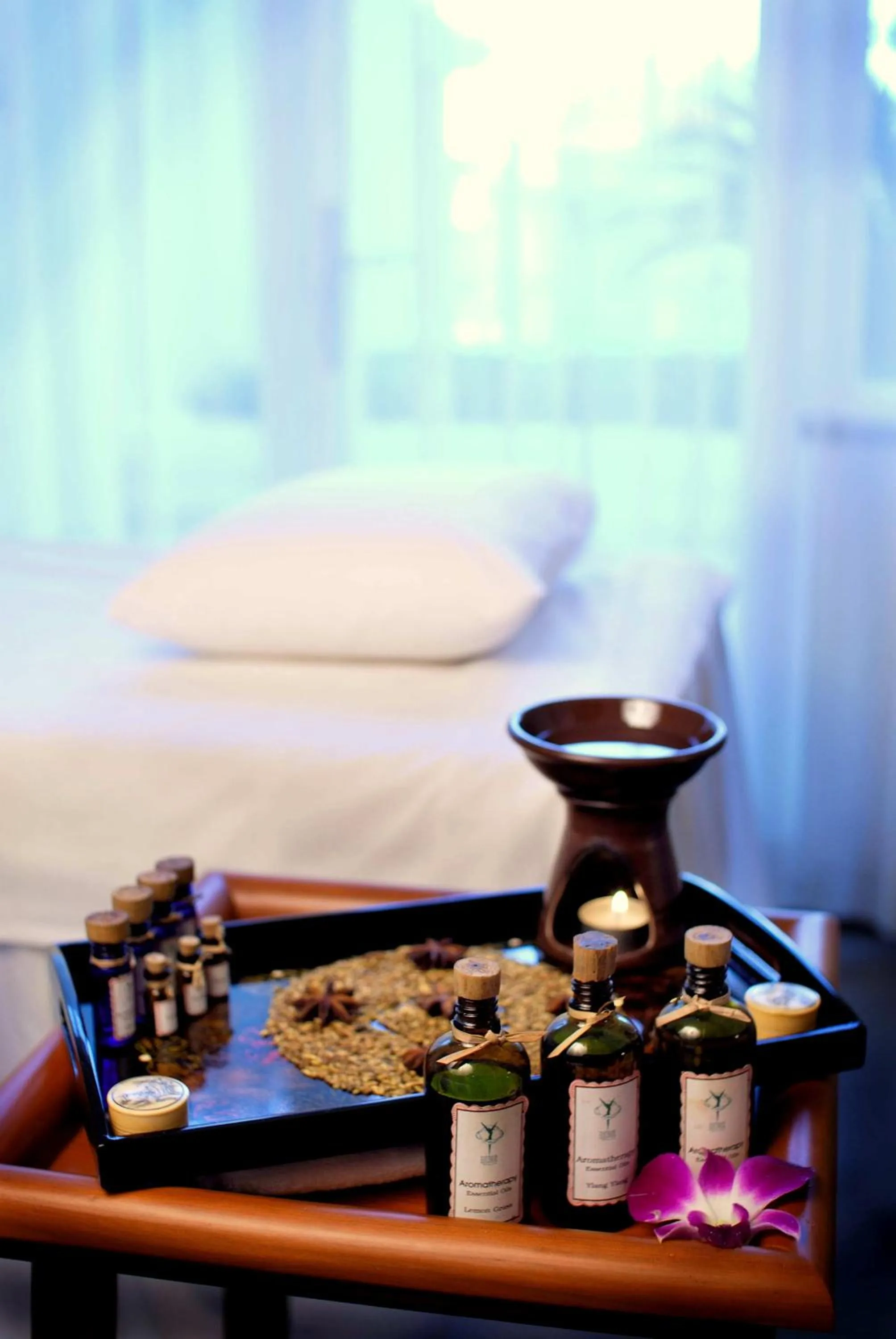 Spa and wellness centre/facilities in Equatorial Ho Chi Minh City