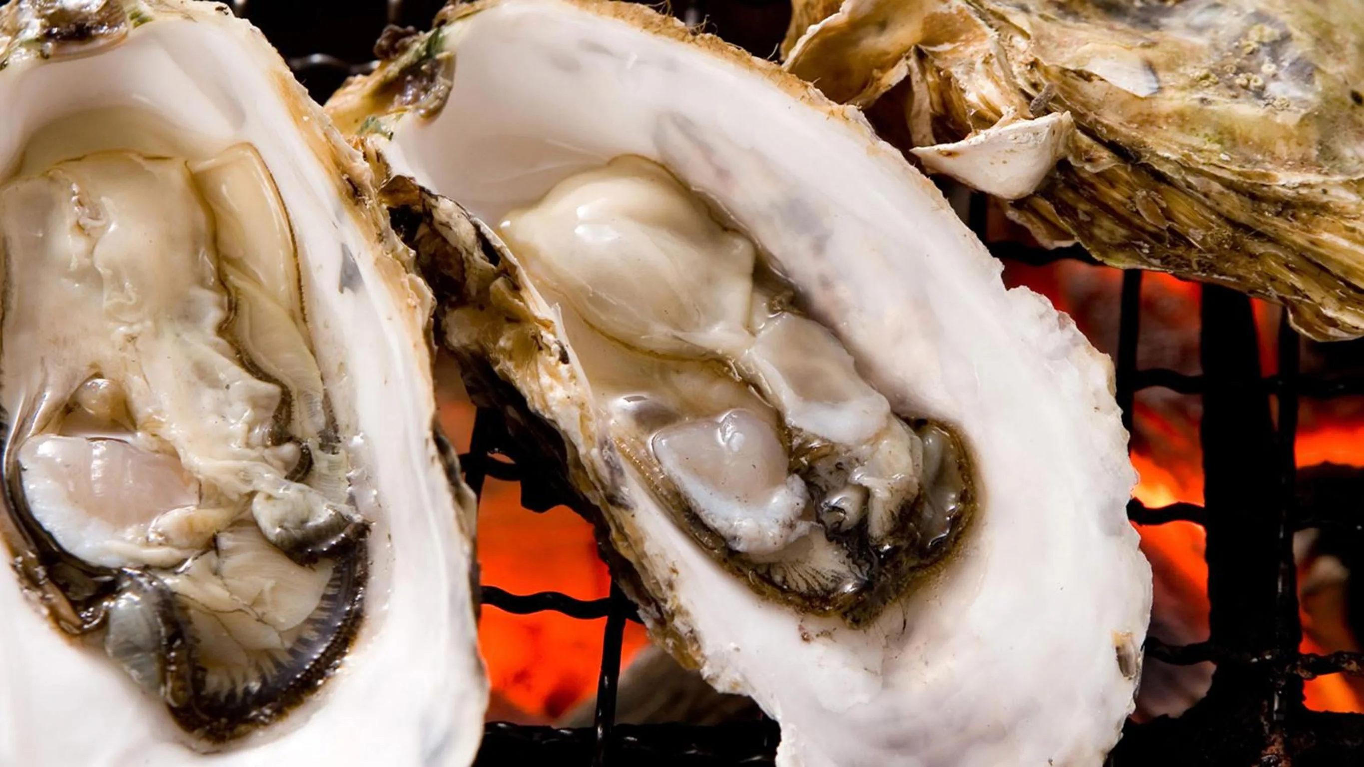 Food close-up in Ryouri no yado Ginrin