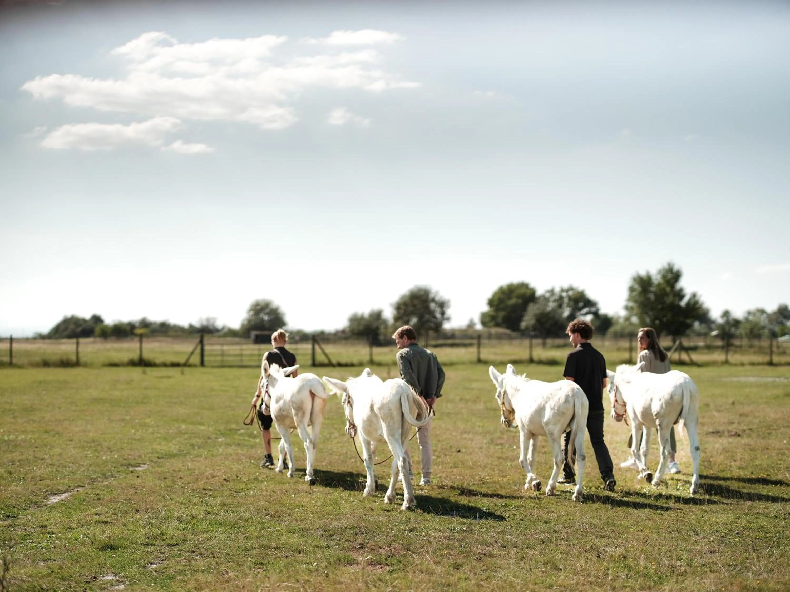Animals in St. Martins Therme & Lodge