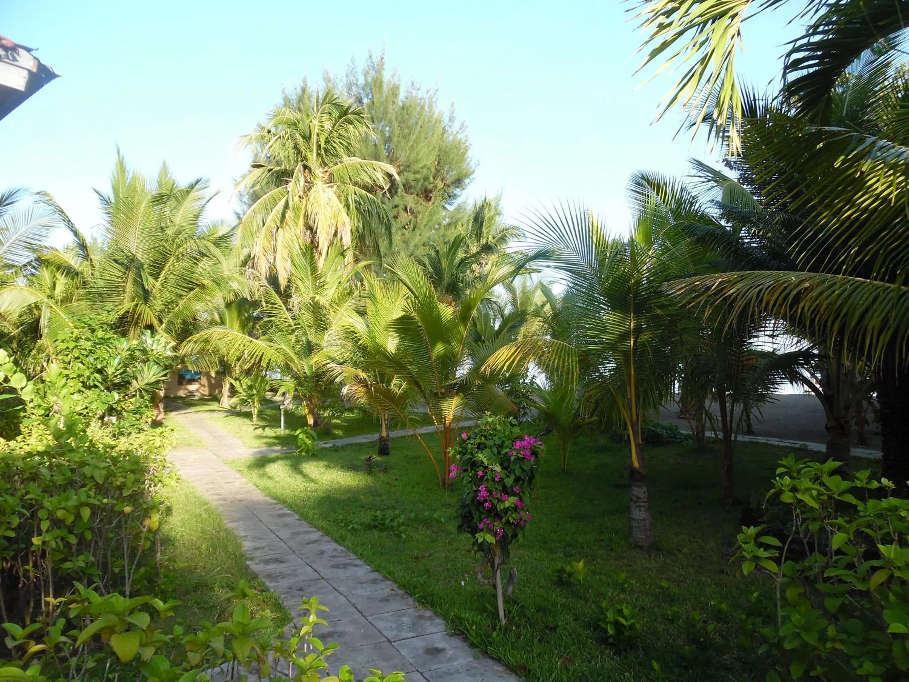 Neighbourhood in Sea World Club Beach Resort & Dive Center, RESORT THAT SUPPORTS THE POOR